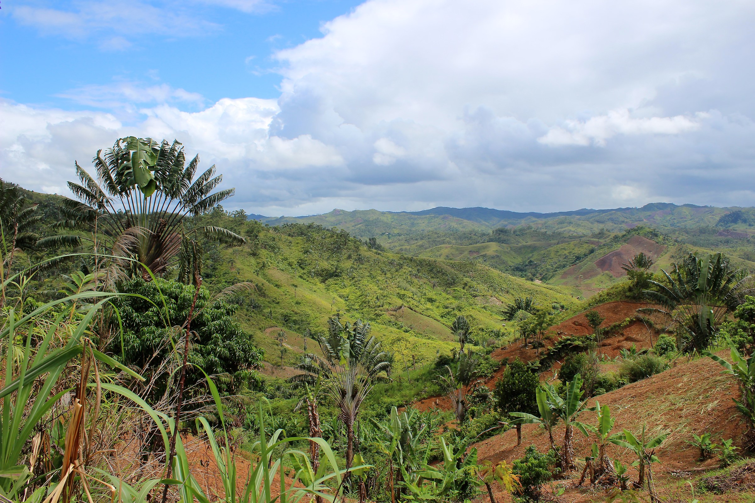 Paesaggio sulla Road RN2 per Tamatave