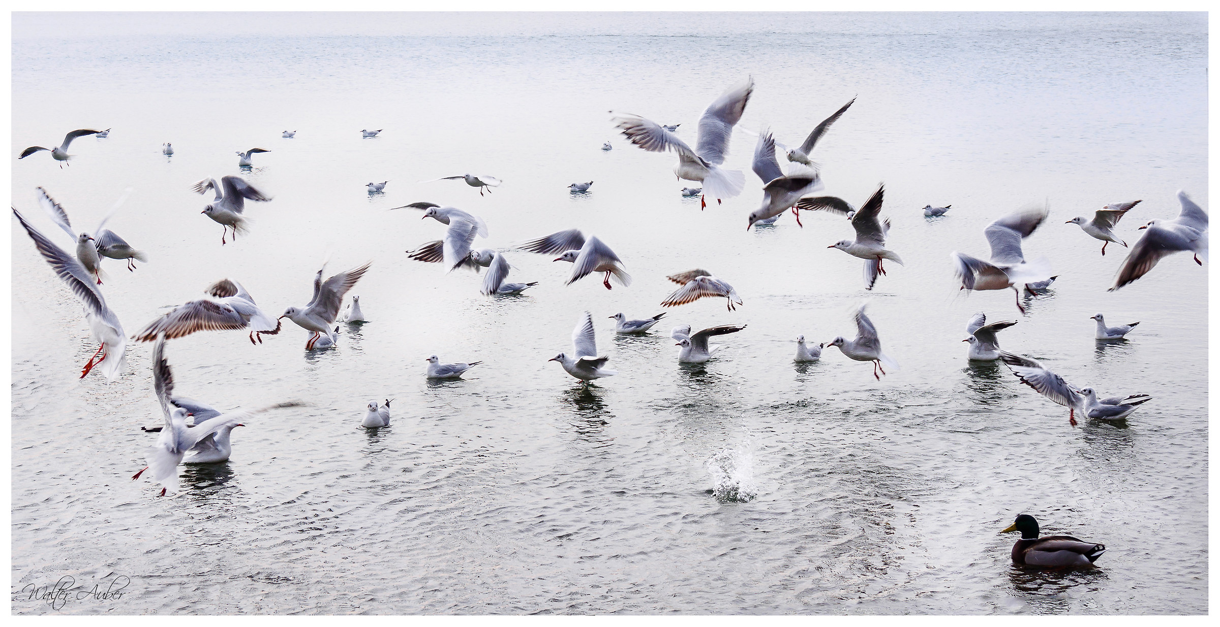 Mi sento fuori luogo