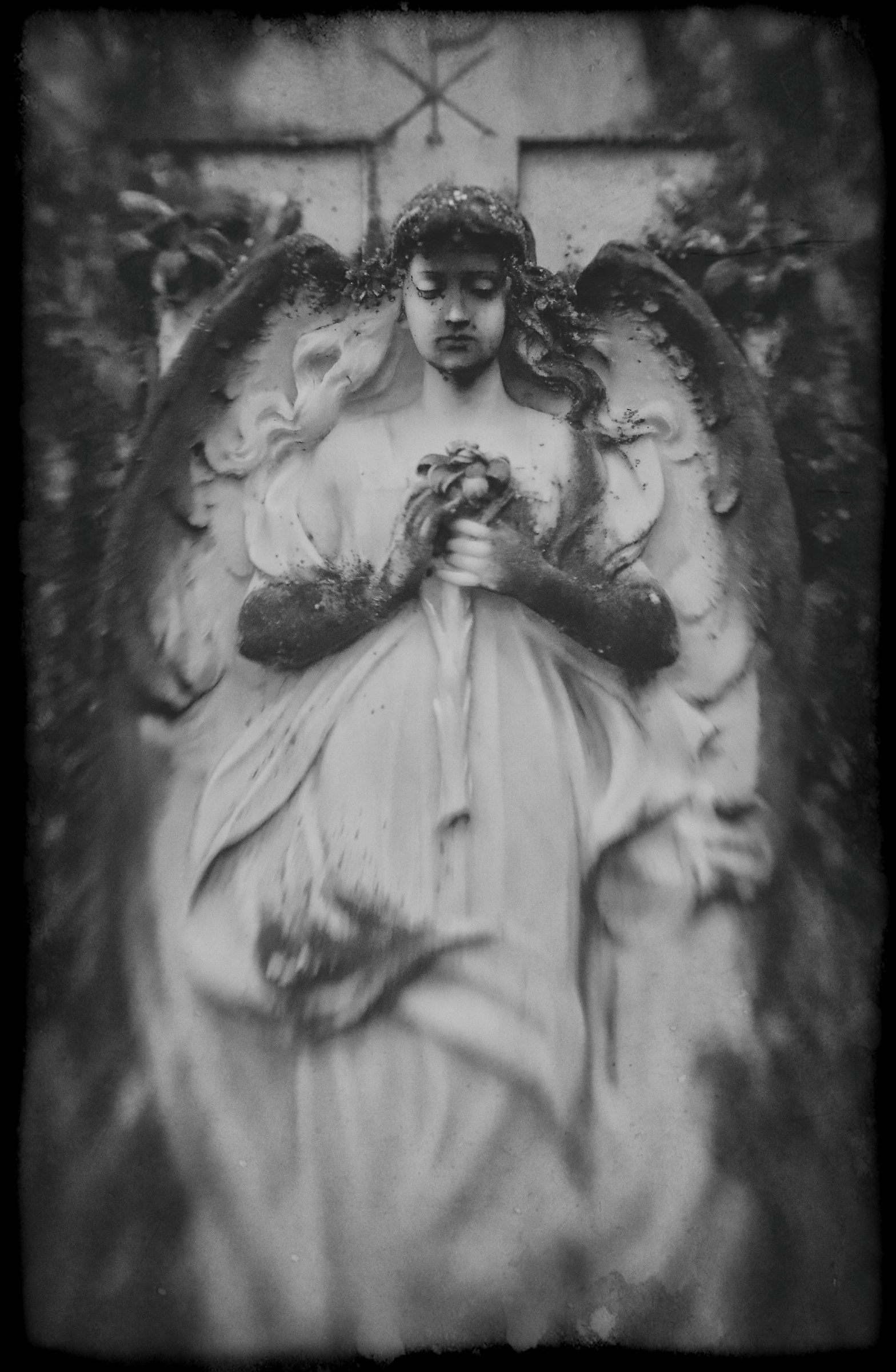 "You are the Blue insane"