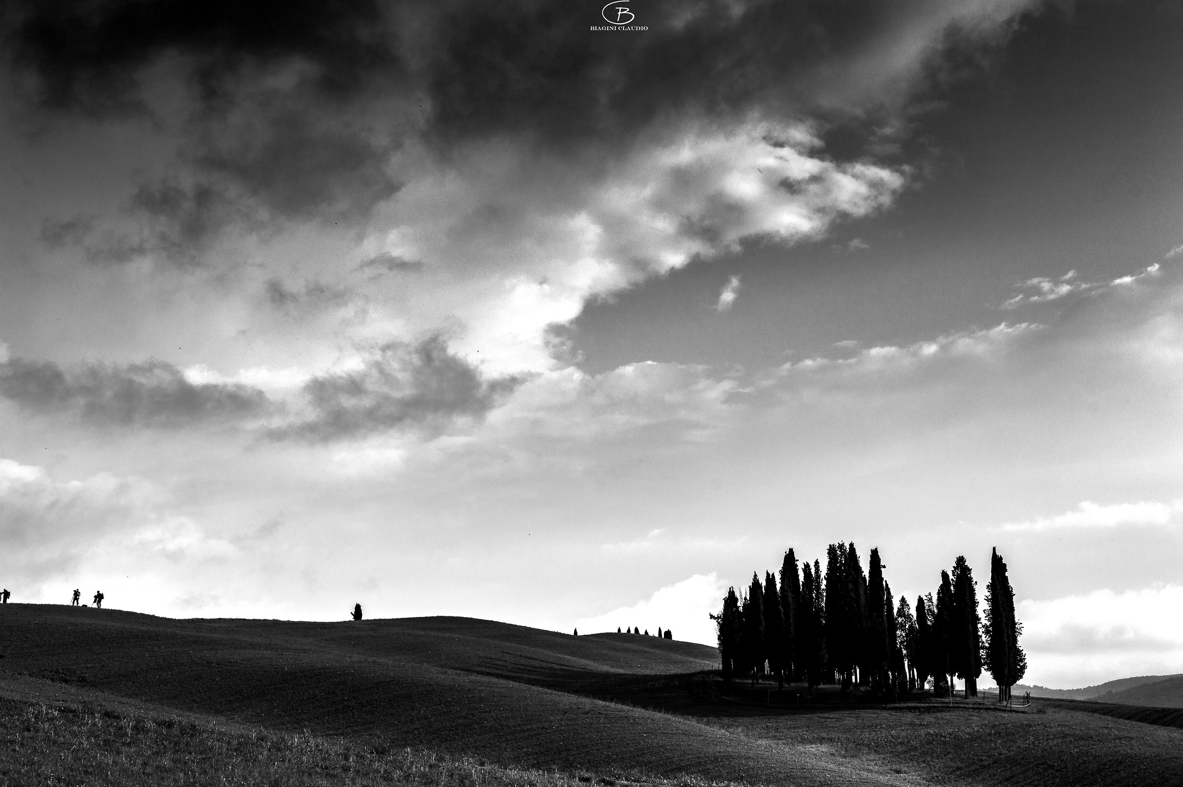 The Cypress di San quirico in B & N