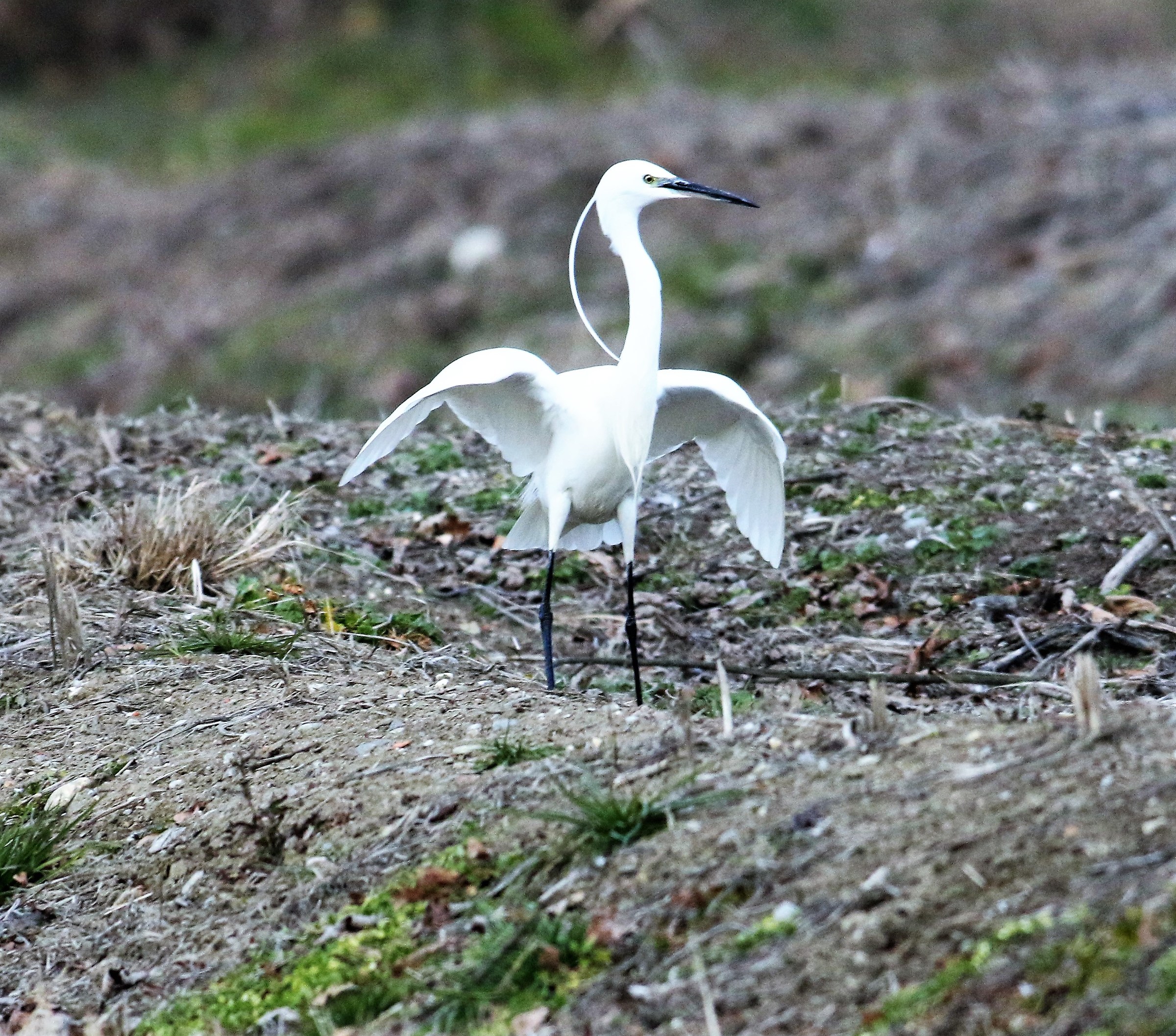 Voglio andare al mare