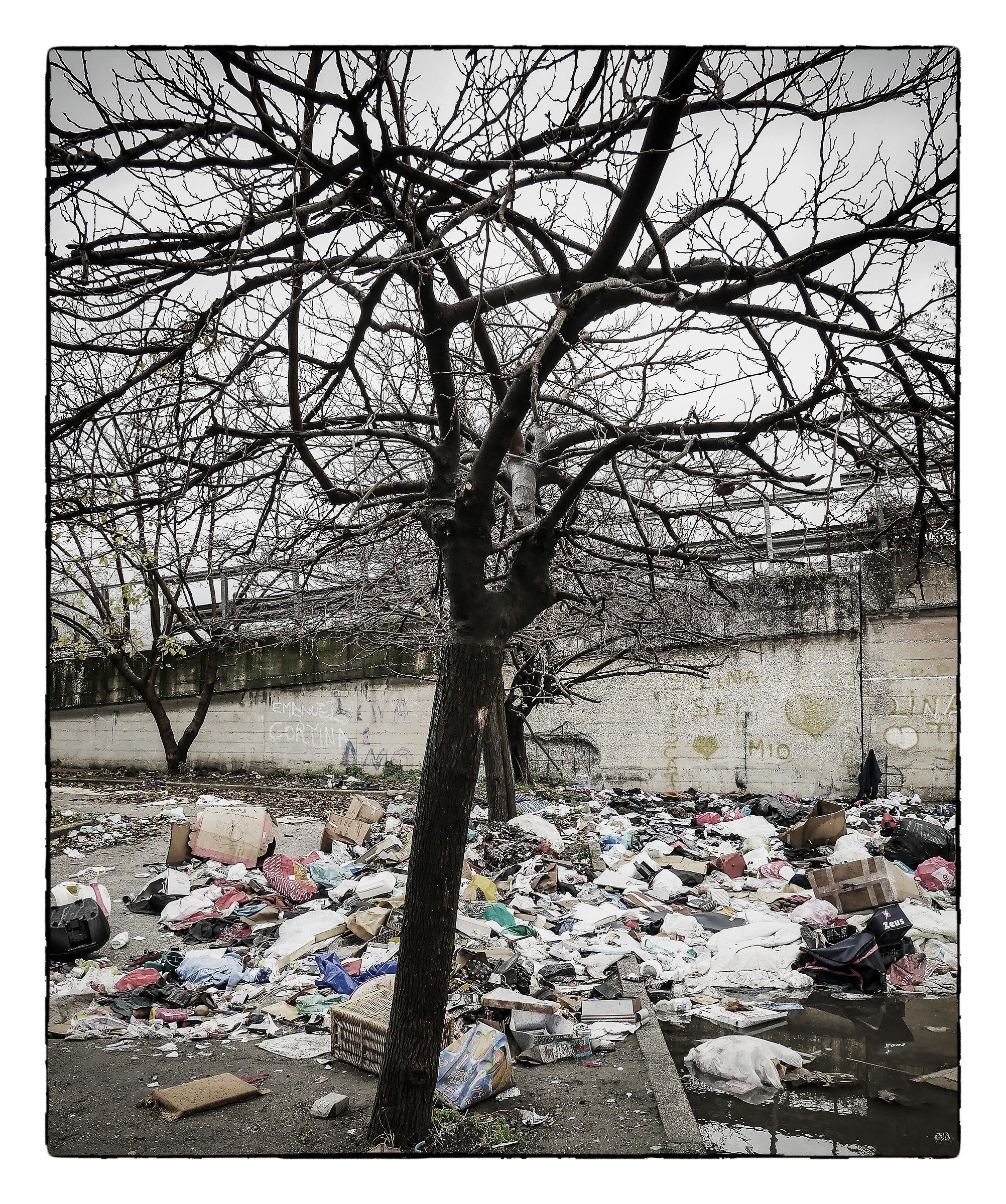 Fall... the leaves Fall!