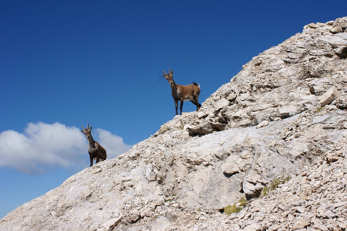 the lookouts of the mountain