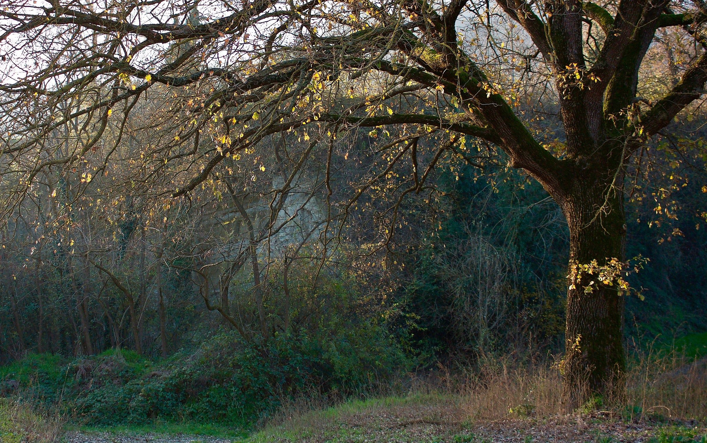 Passaggio sul Voltre