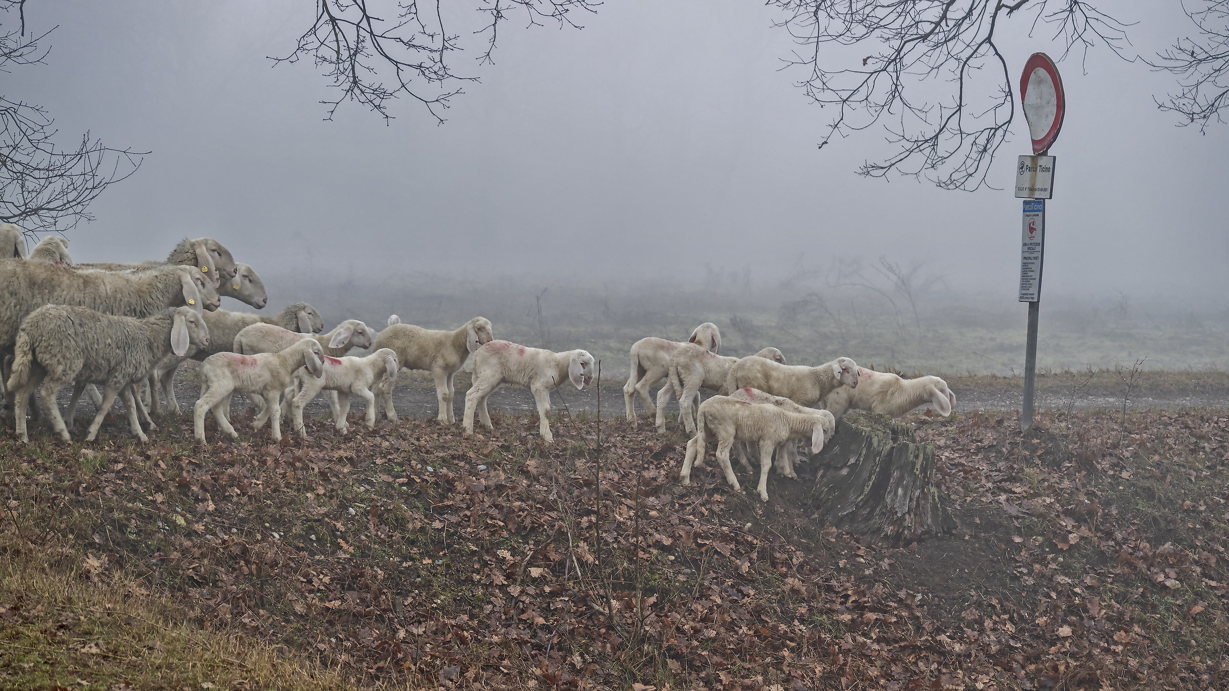 Fermi tutti! Divieto di transito