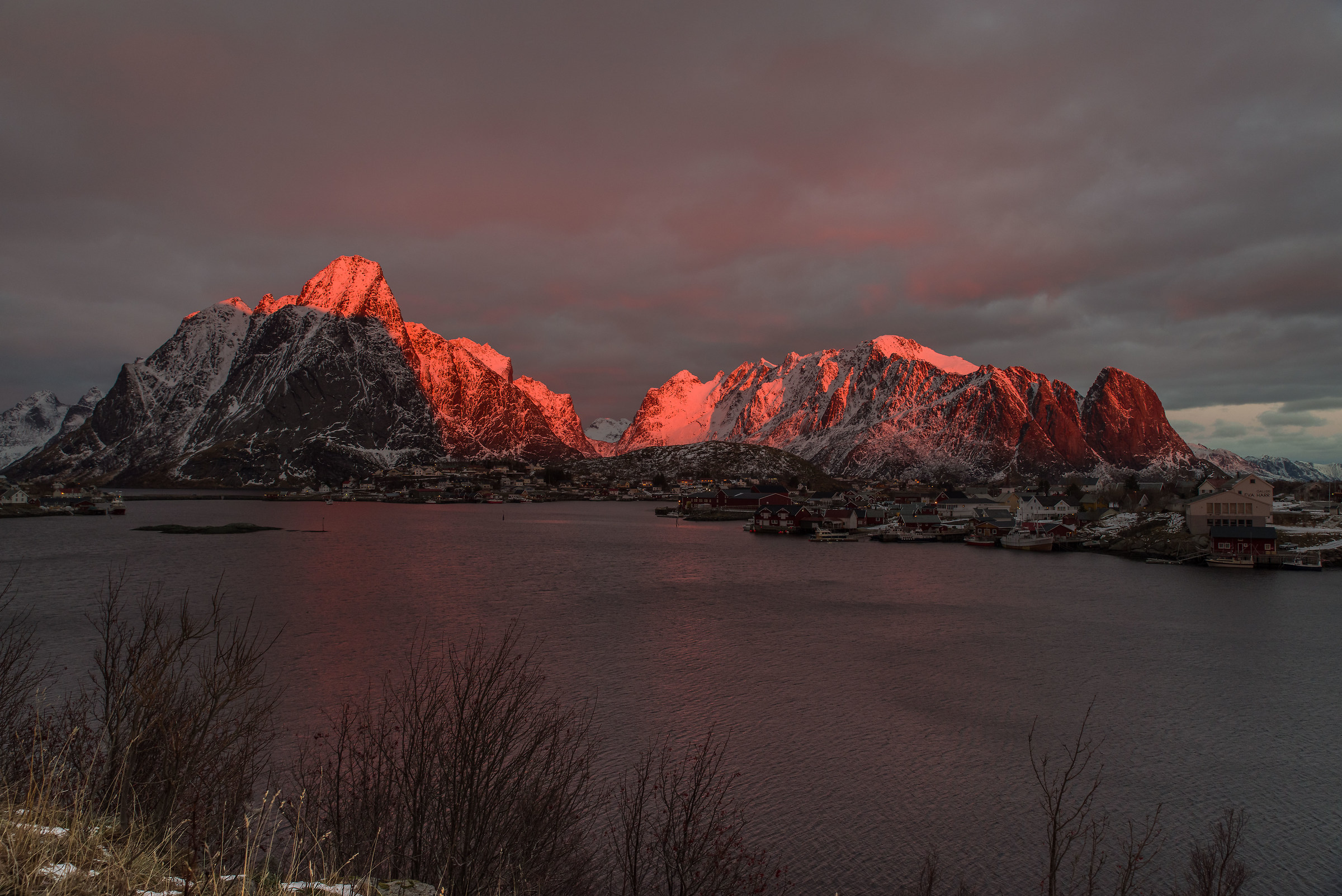 Reine
