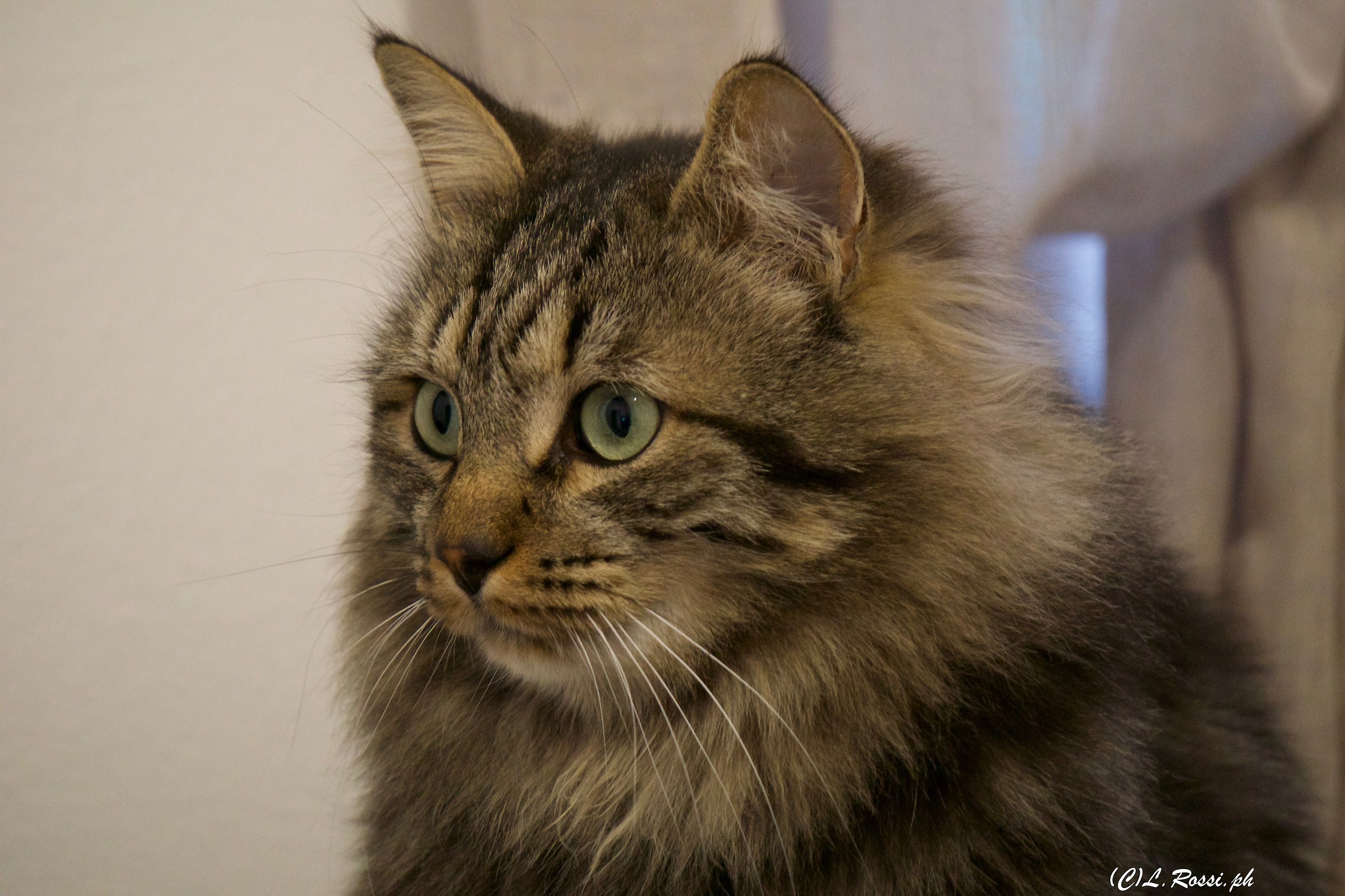 of profile? Is that okay?