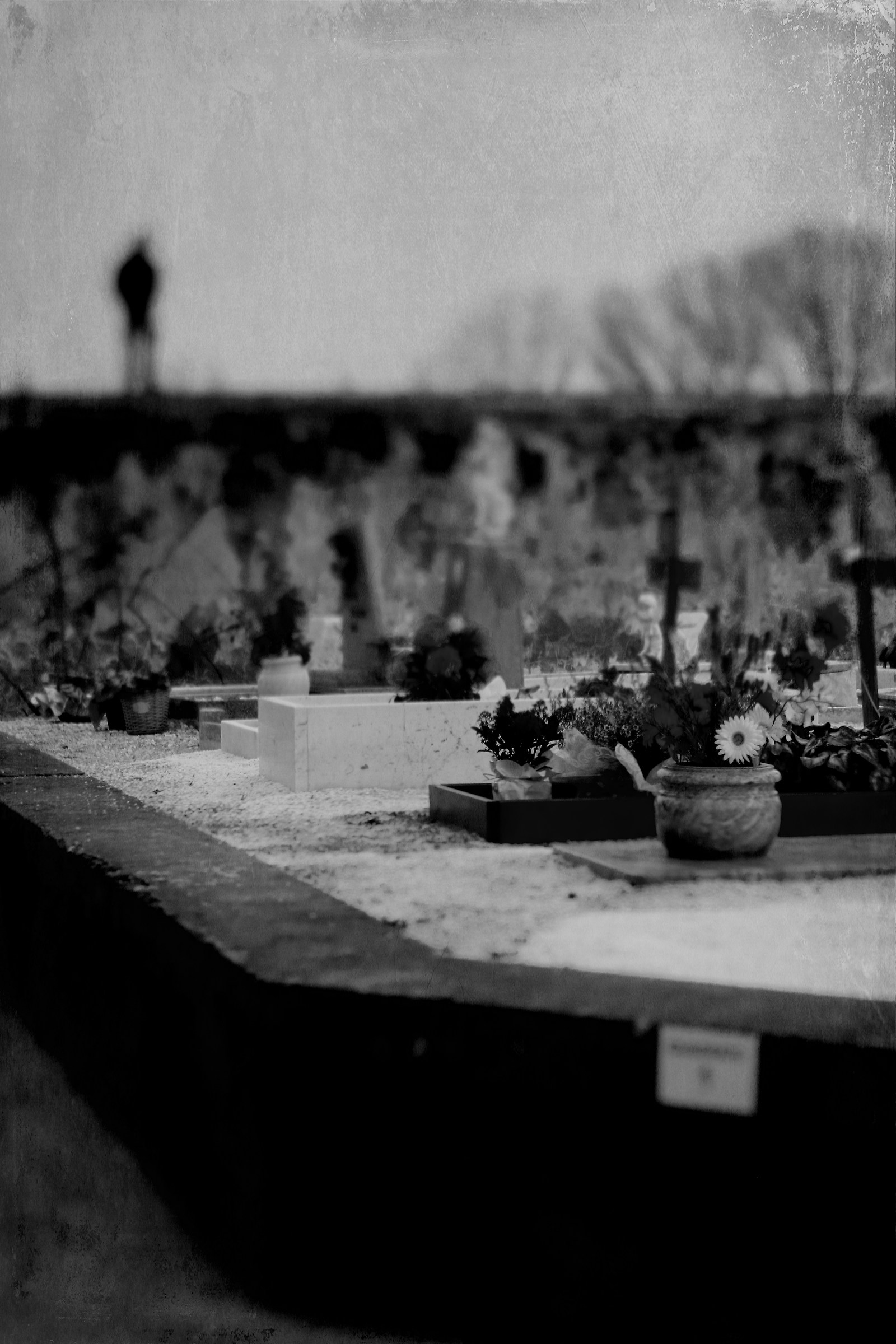 "I still wonder where you are"