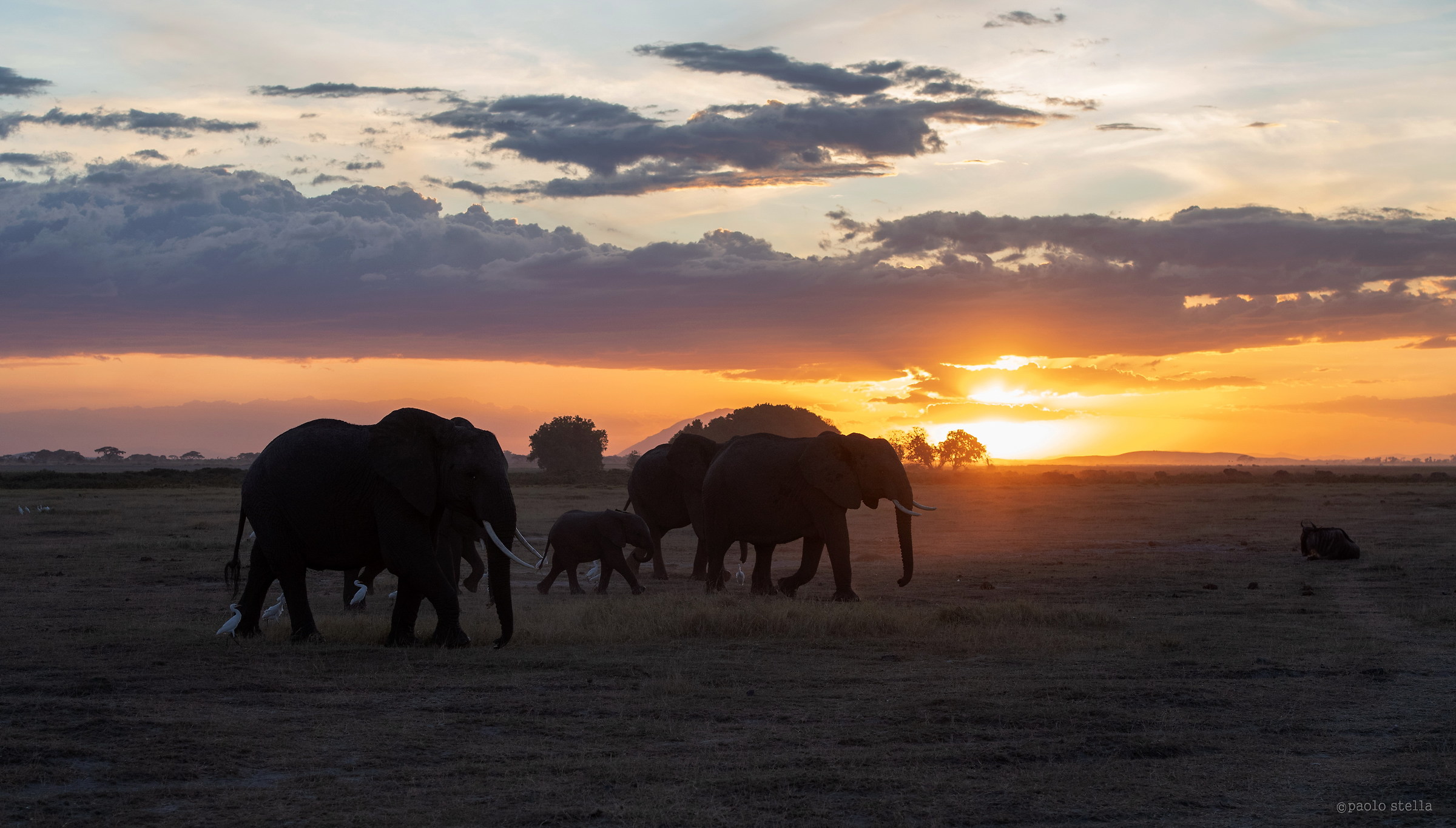 Sunset in Amboseli