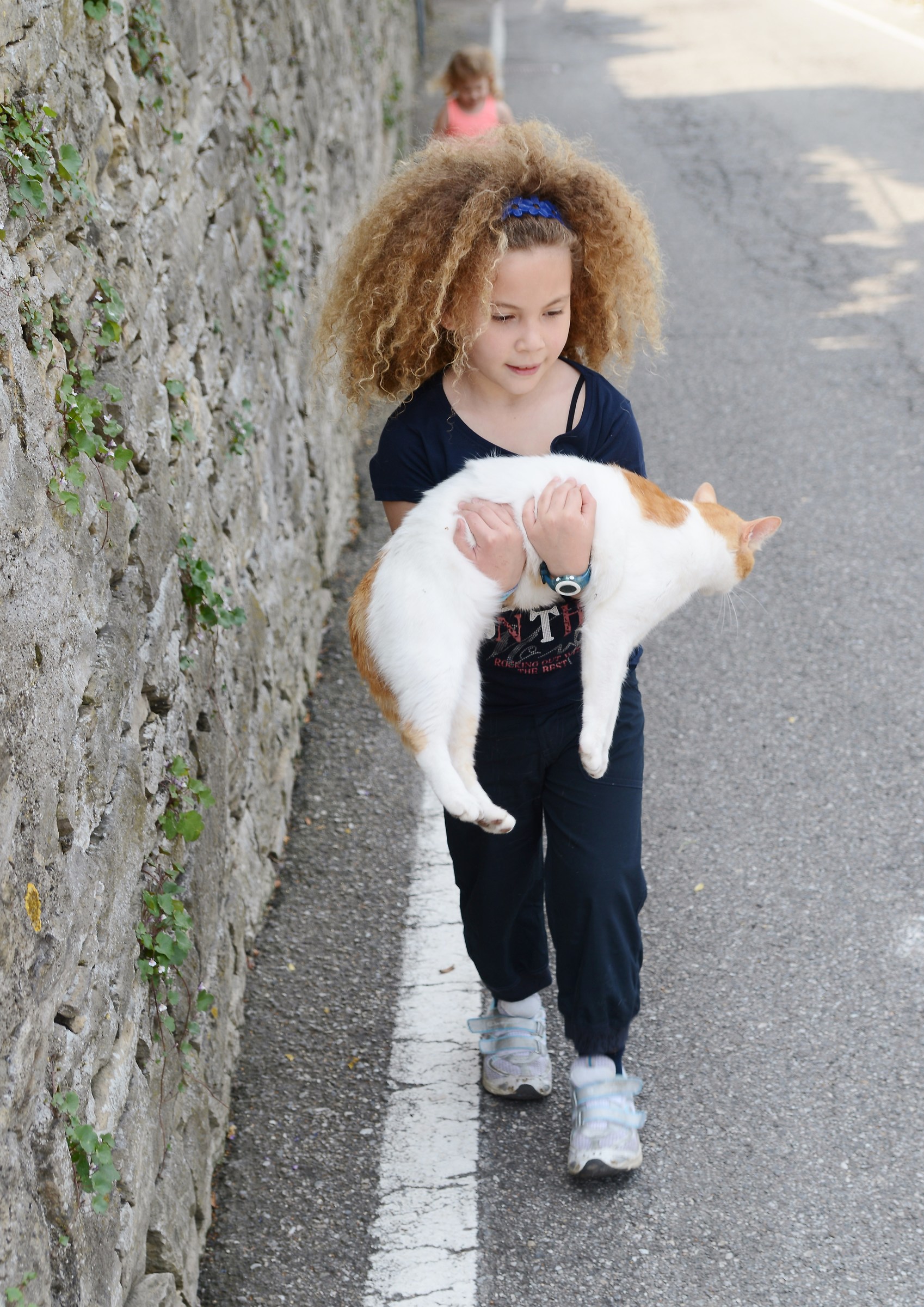 Sara and the Cat