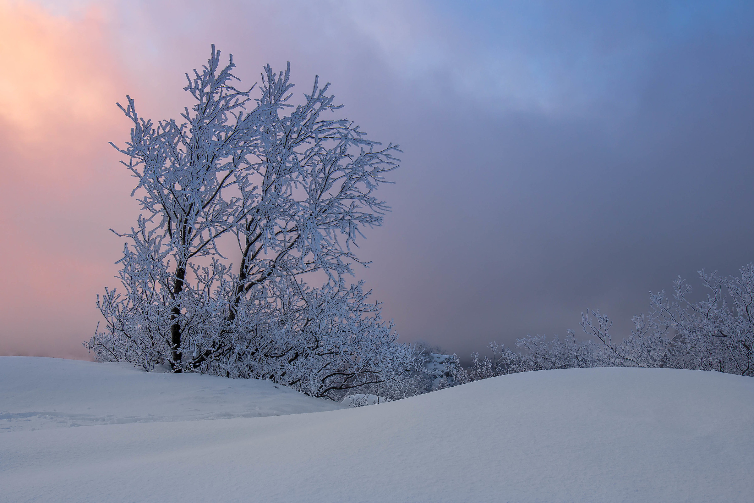 Tramonto innevato sul Monte Fumaiolo