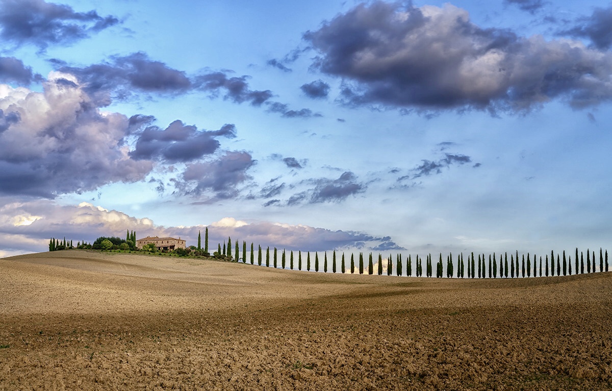 Tuscan perspectives