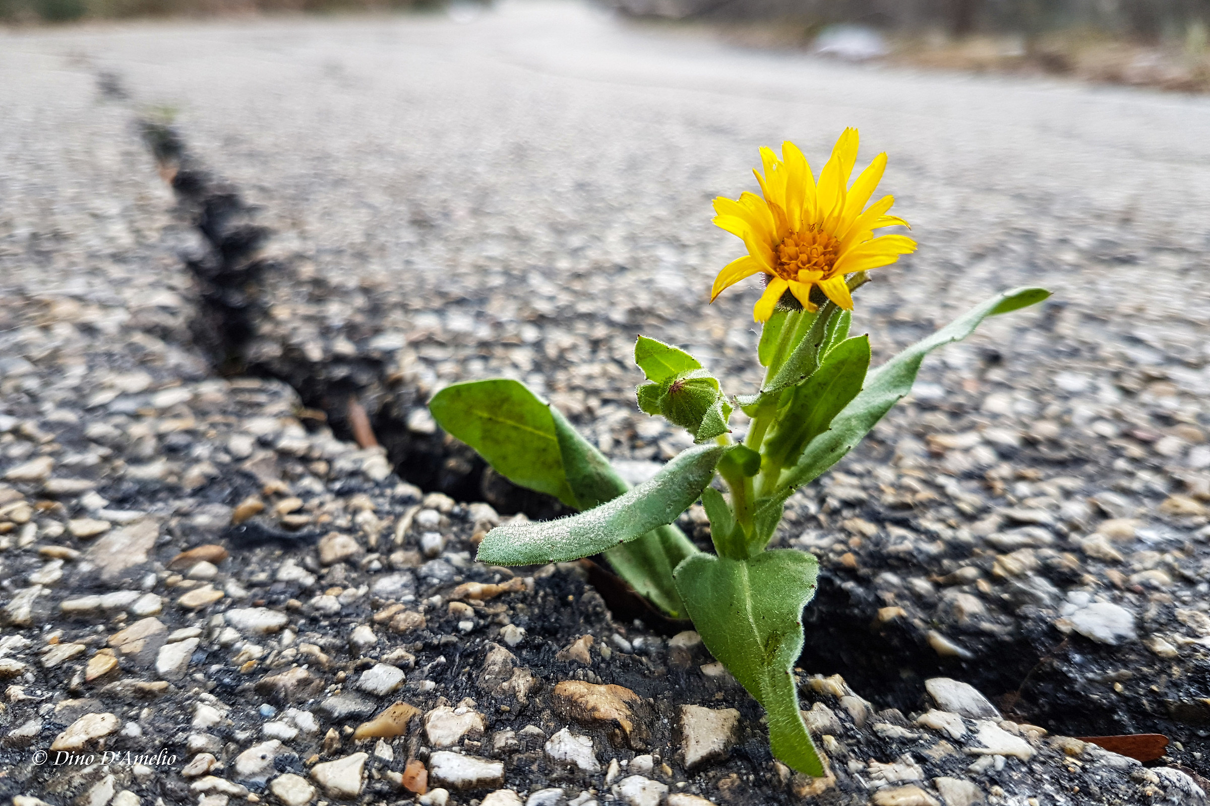 Just always look up...