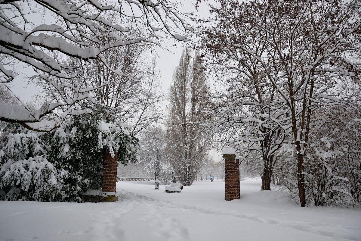 The silence of the snow