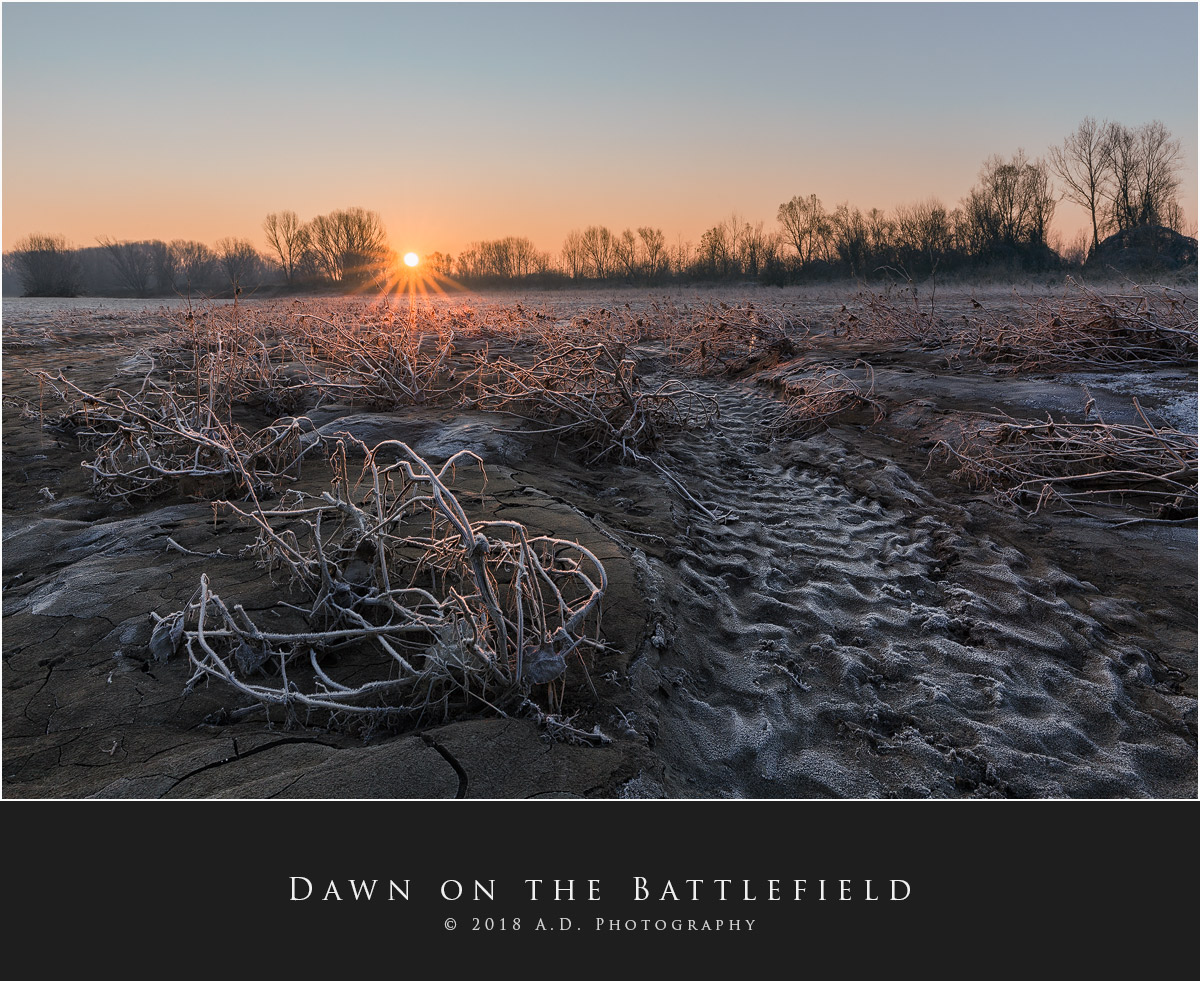 Dawn on the Battlefield