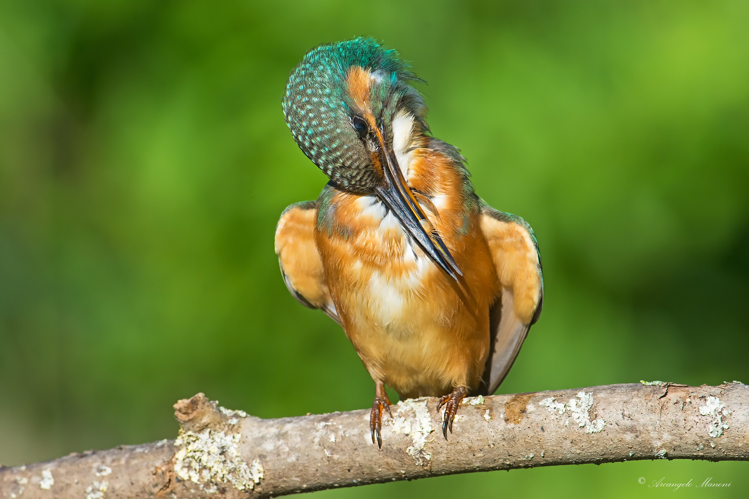 Pulizia penna per penna