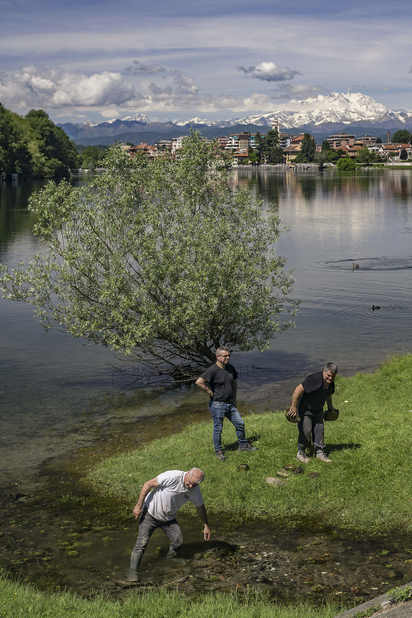 Late morning mid-May-6