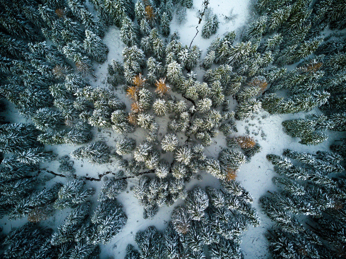 Where the Eagles Dare