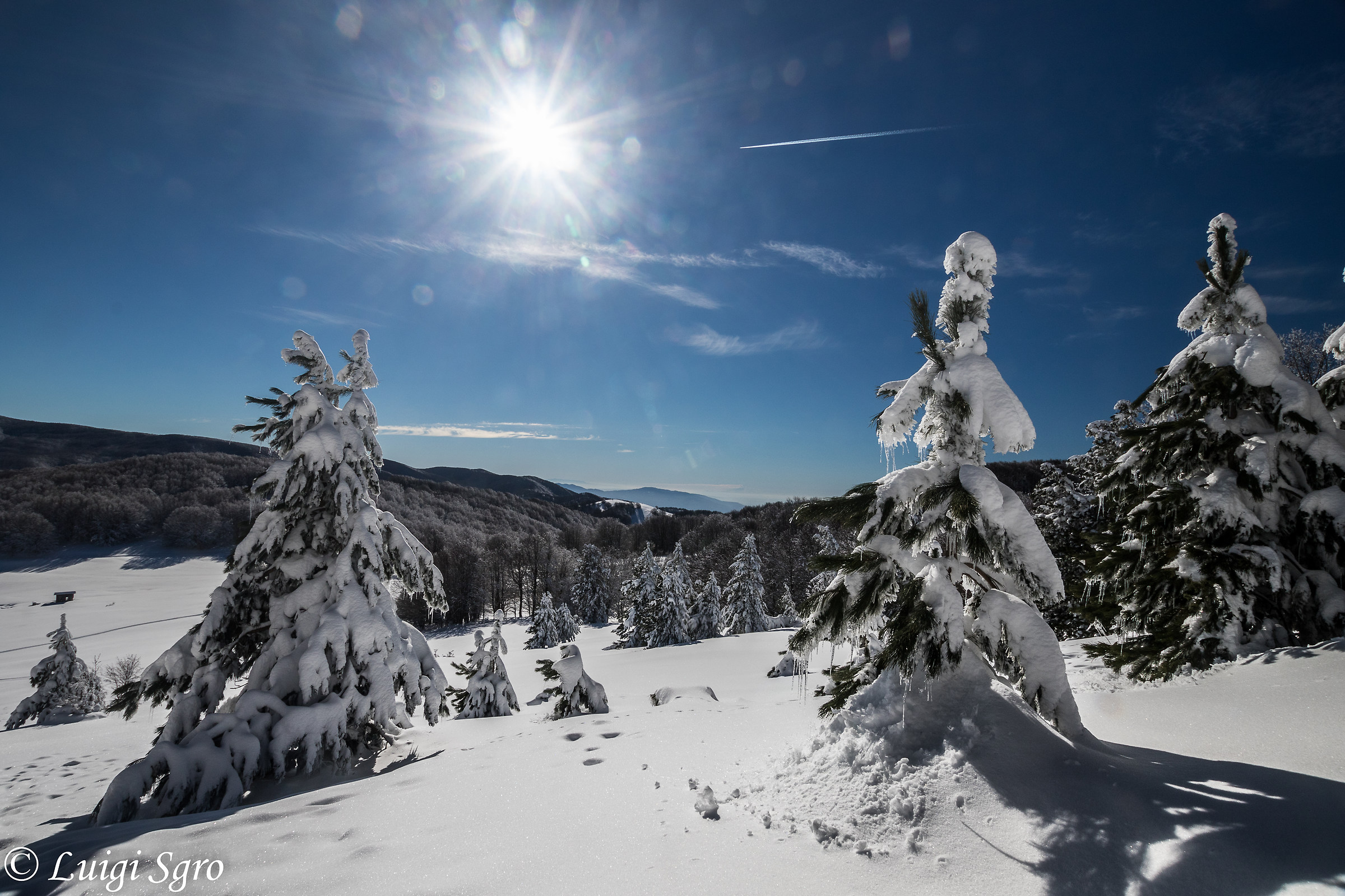 Rifugio Monte Curcio (1768 M.S.L.)