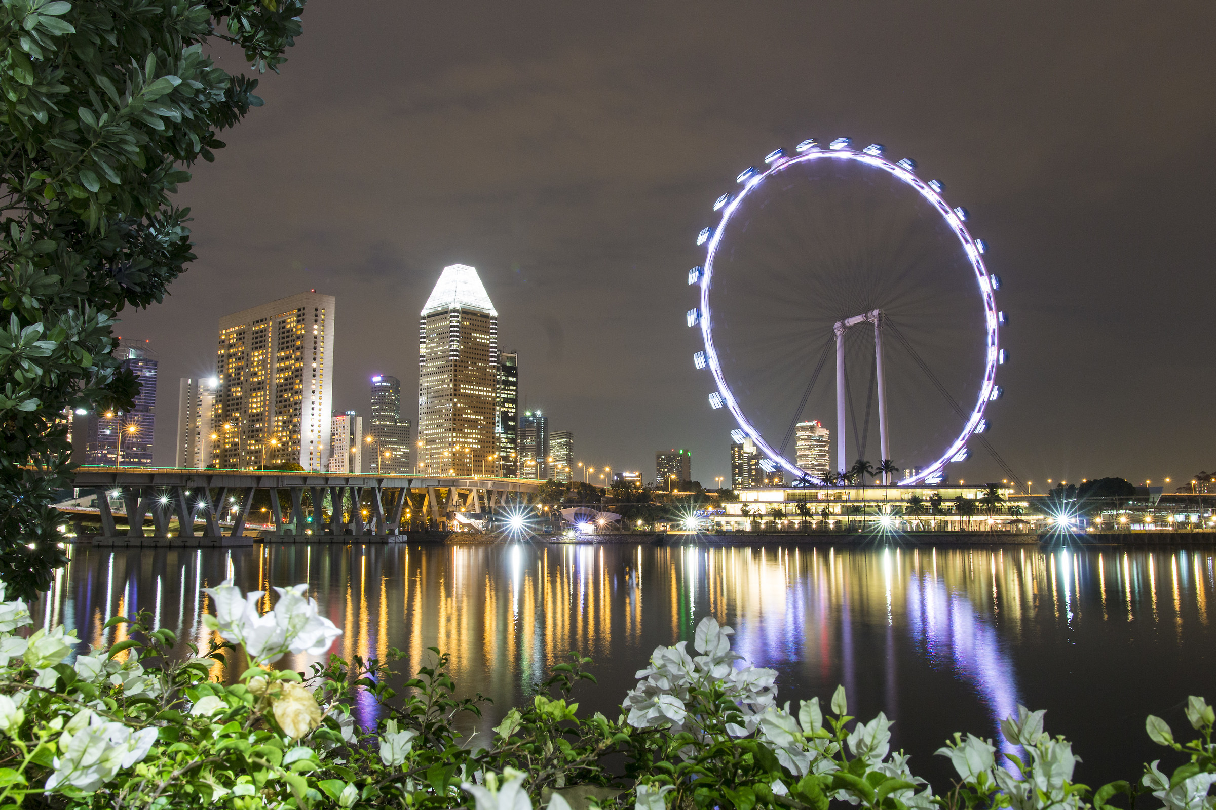 Singapore Flyer