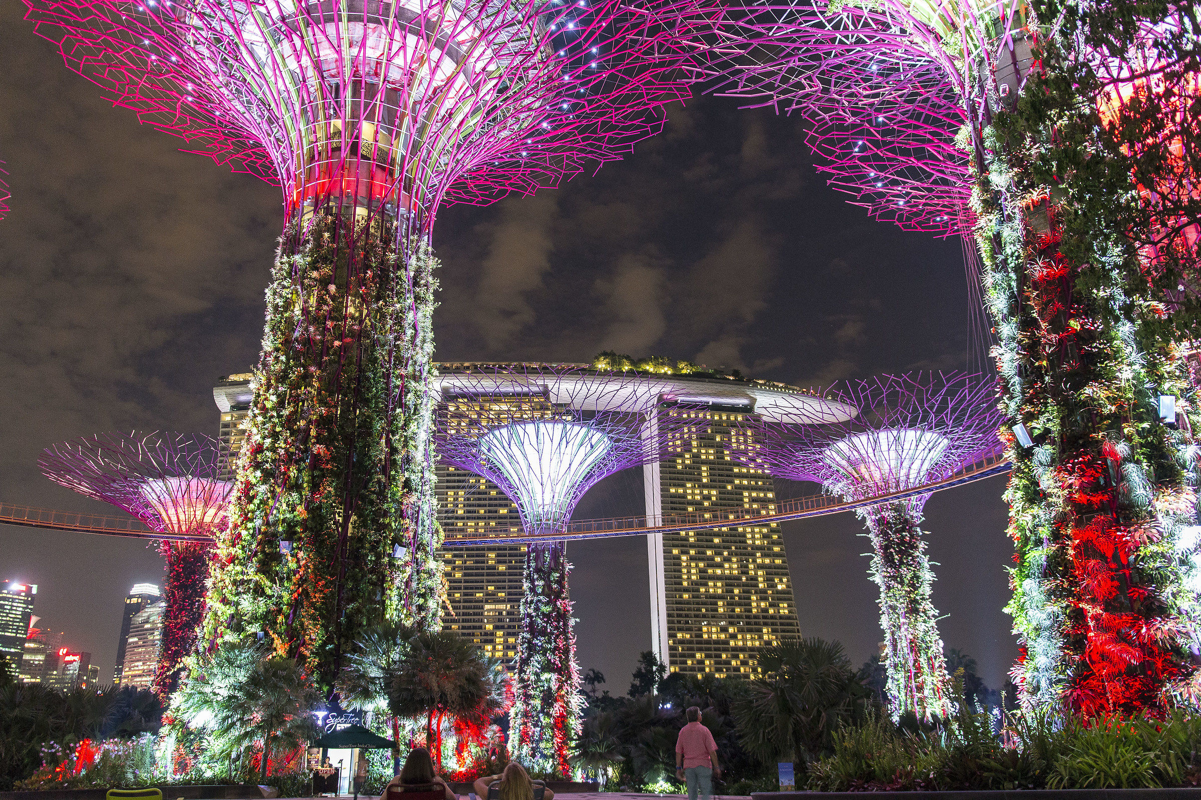 Singapore Tree Garden