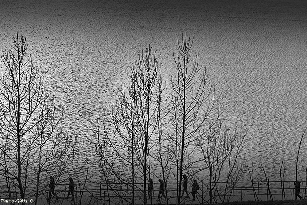 Strolling on the lake