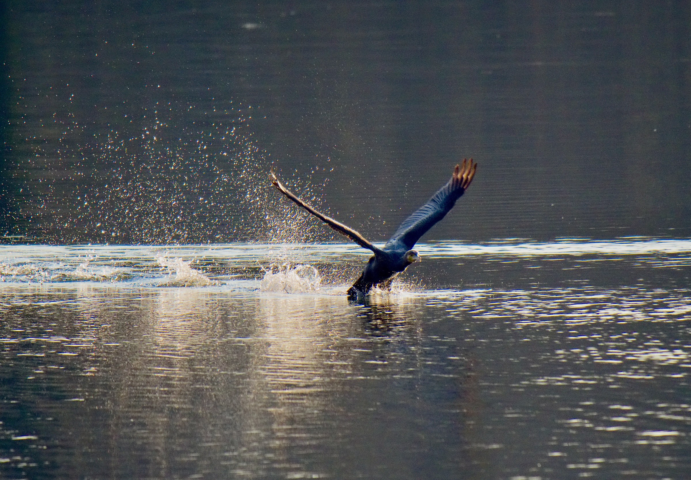 Take-off between splashes