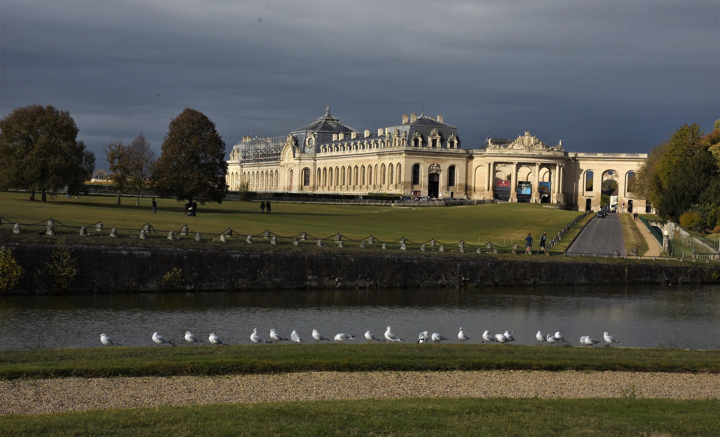 We are in 22all in a row to see the Museum of the Horse