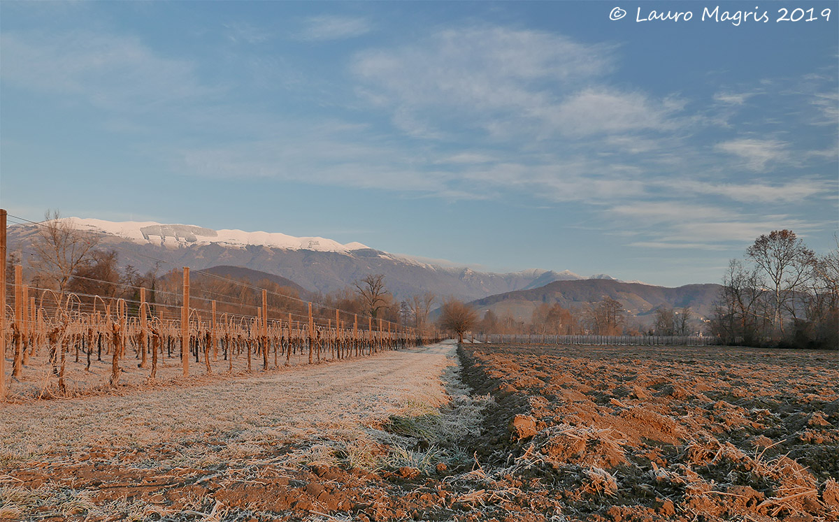 Un ippopotamo sulla neve