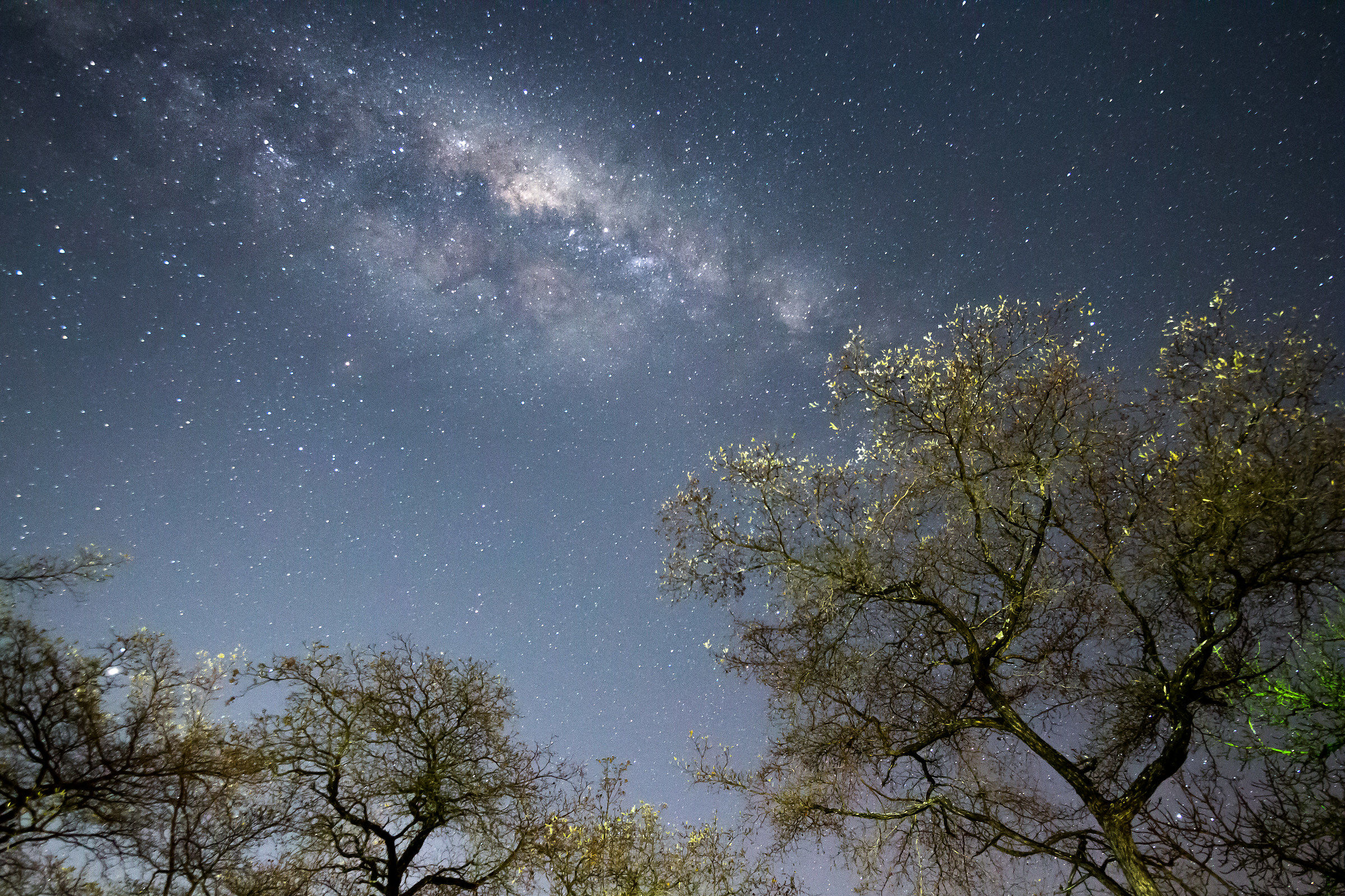 Via Lattea dal Kruger