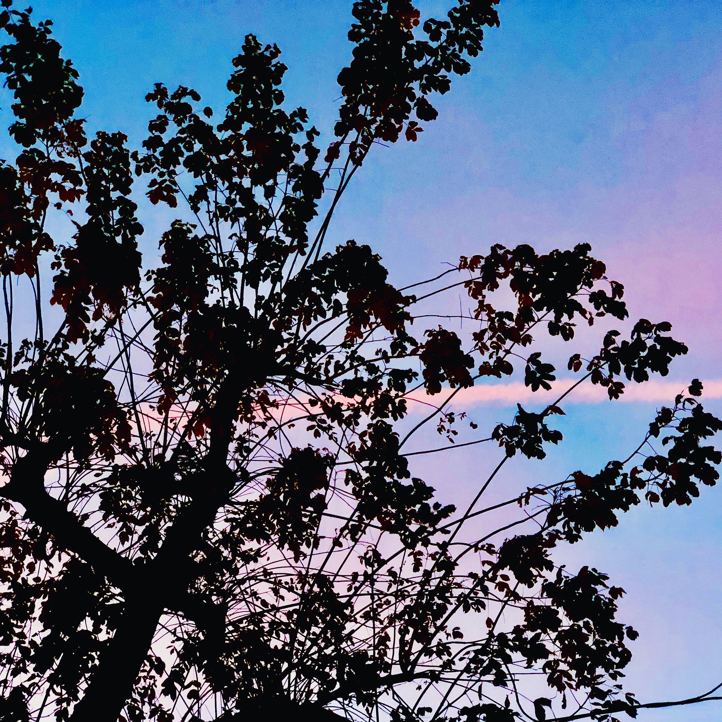 Autumn sunset in town