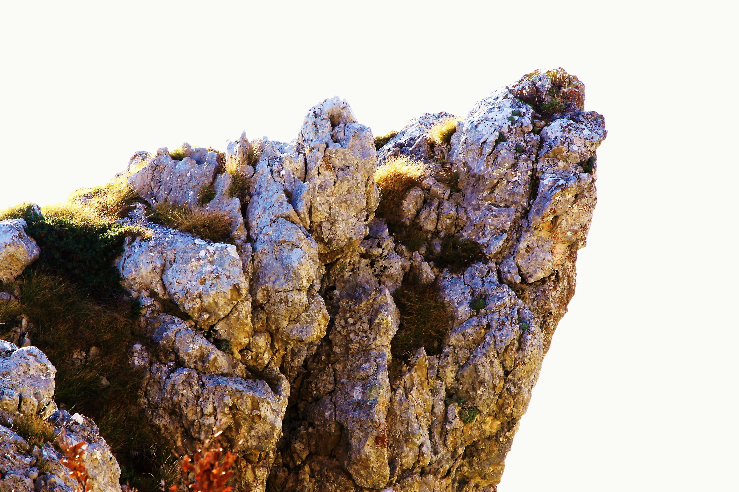 Sperone appenninico.