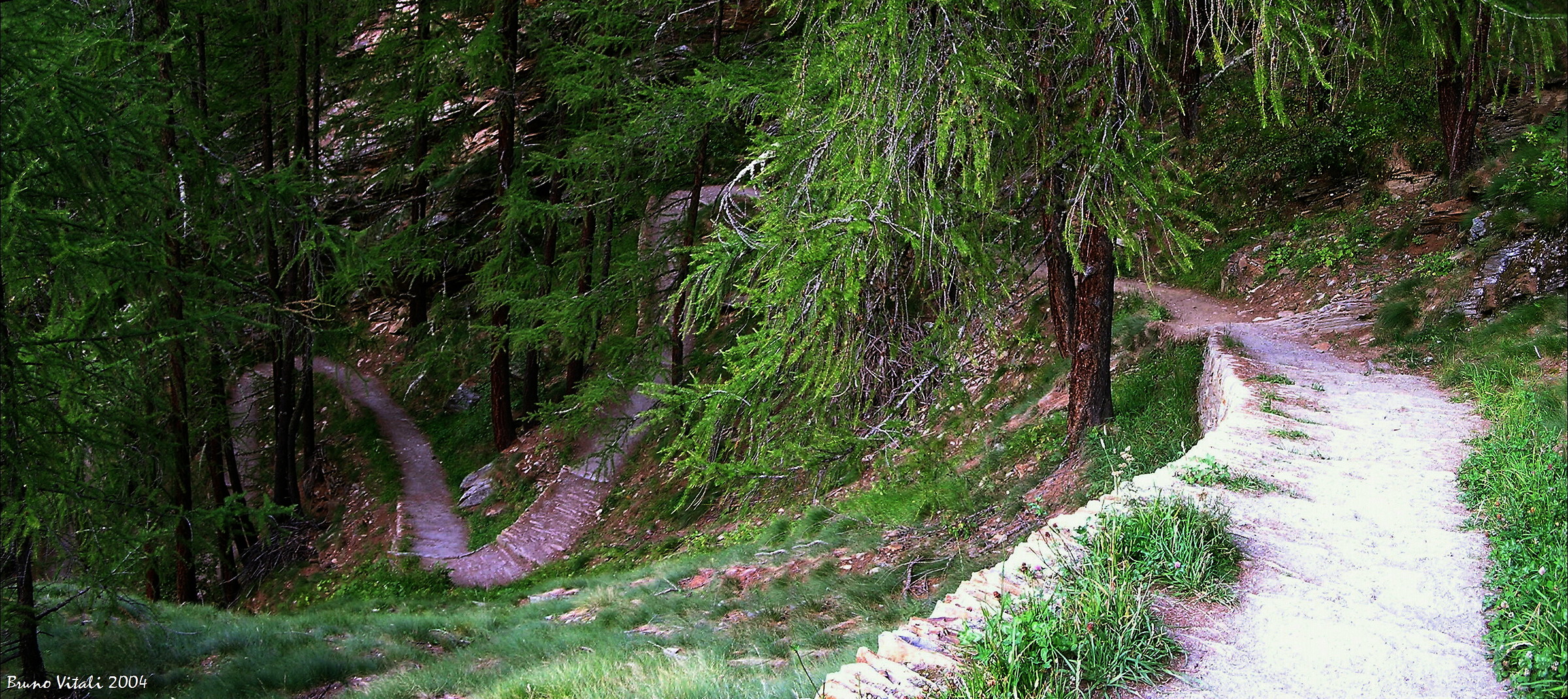 Hiking Trail in Valsaverenche