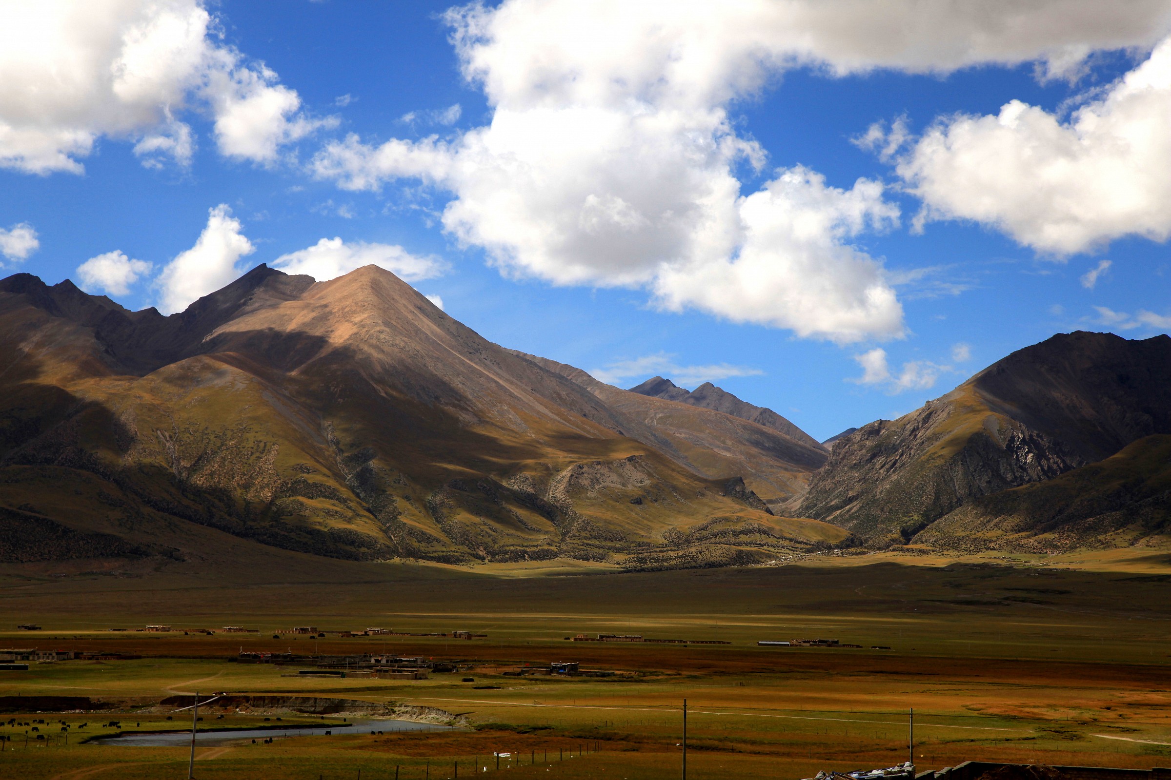 Tibet
