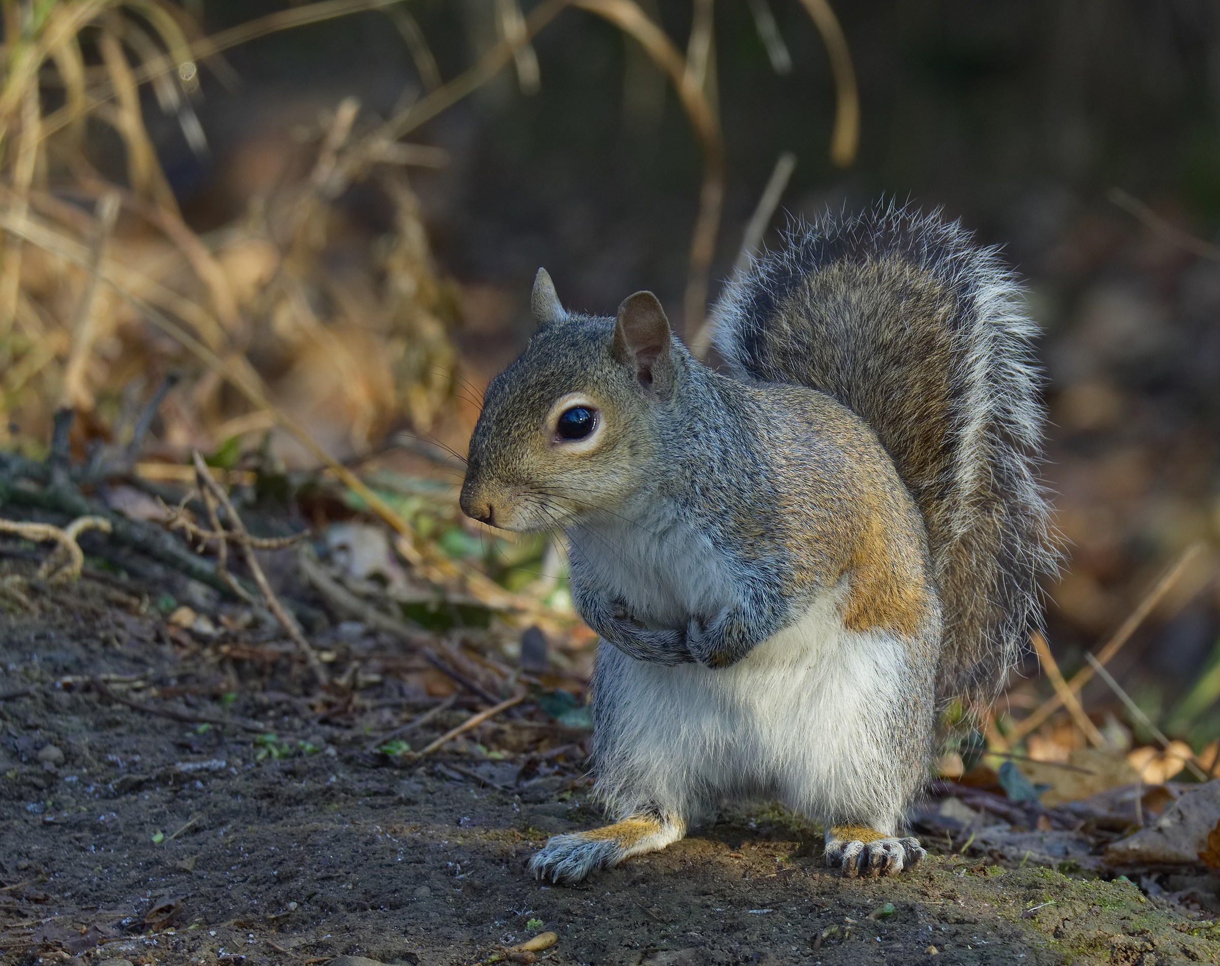 Allora non mi dai niente