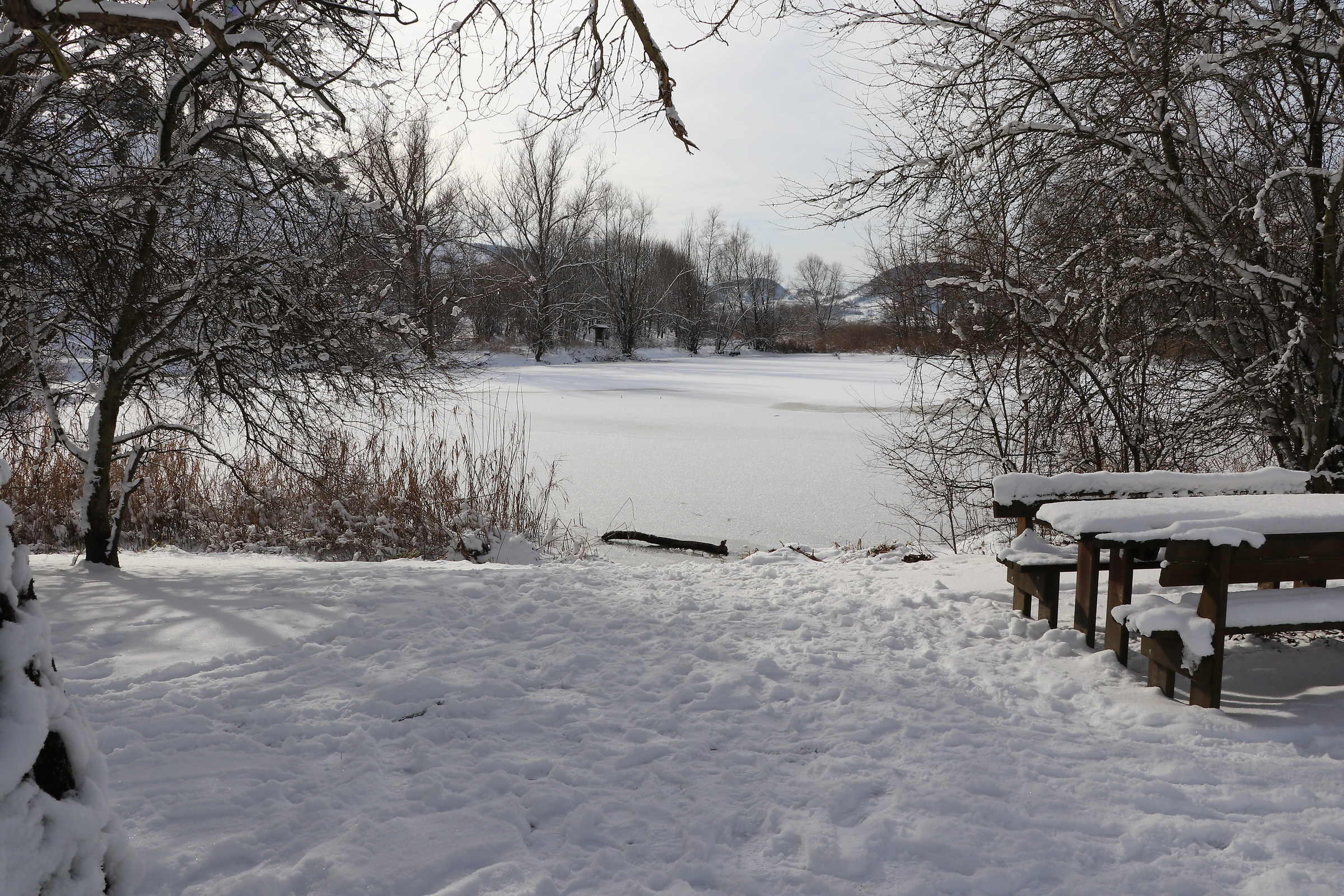 Picnic Area swamp of Colfiorito