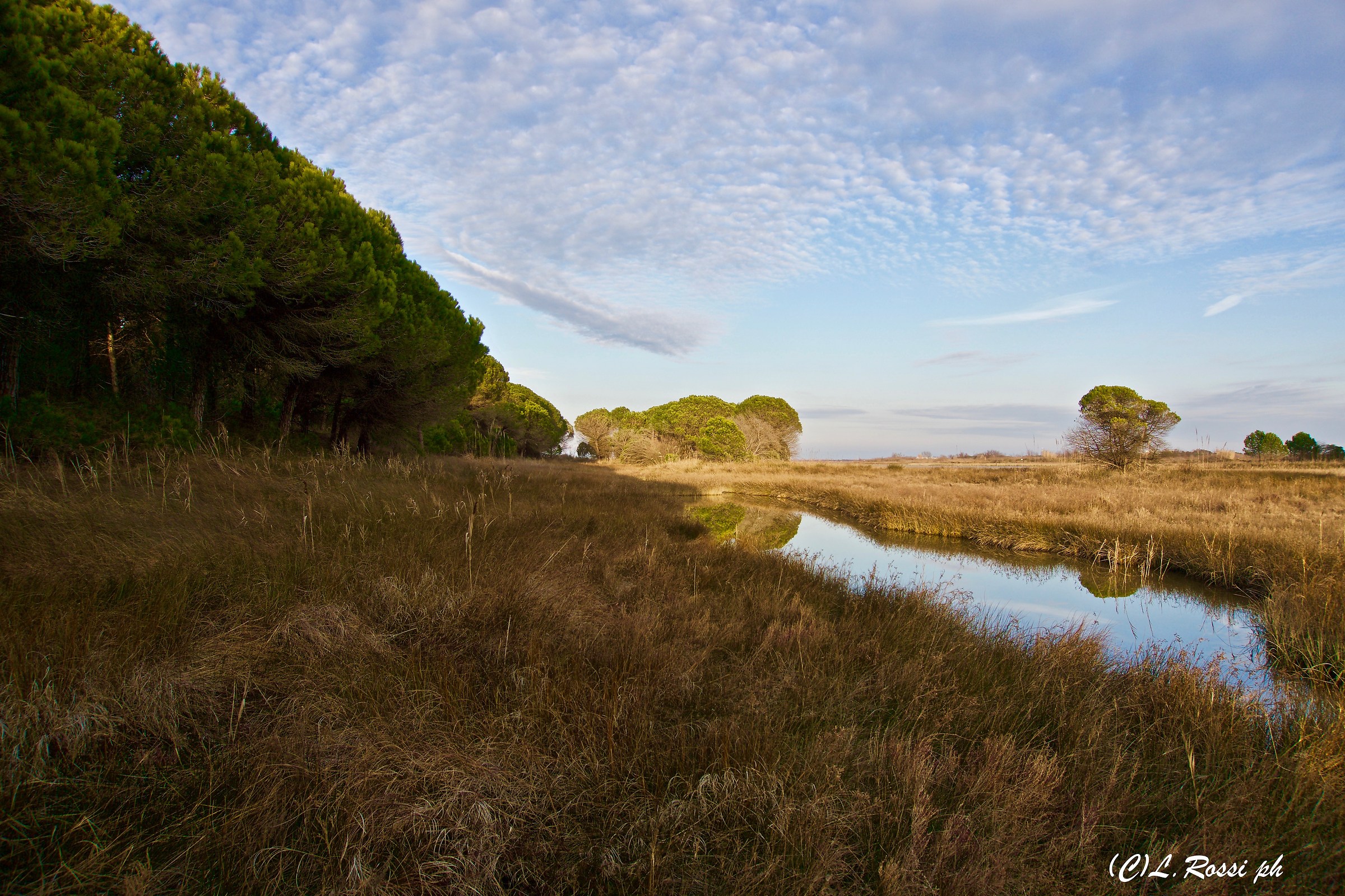 i colori dell'inverno