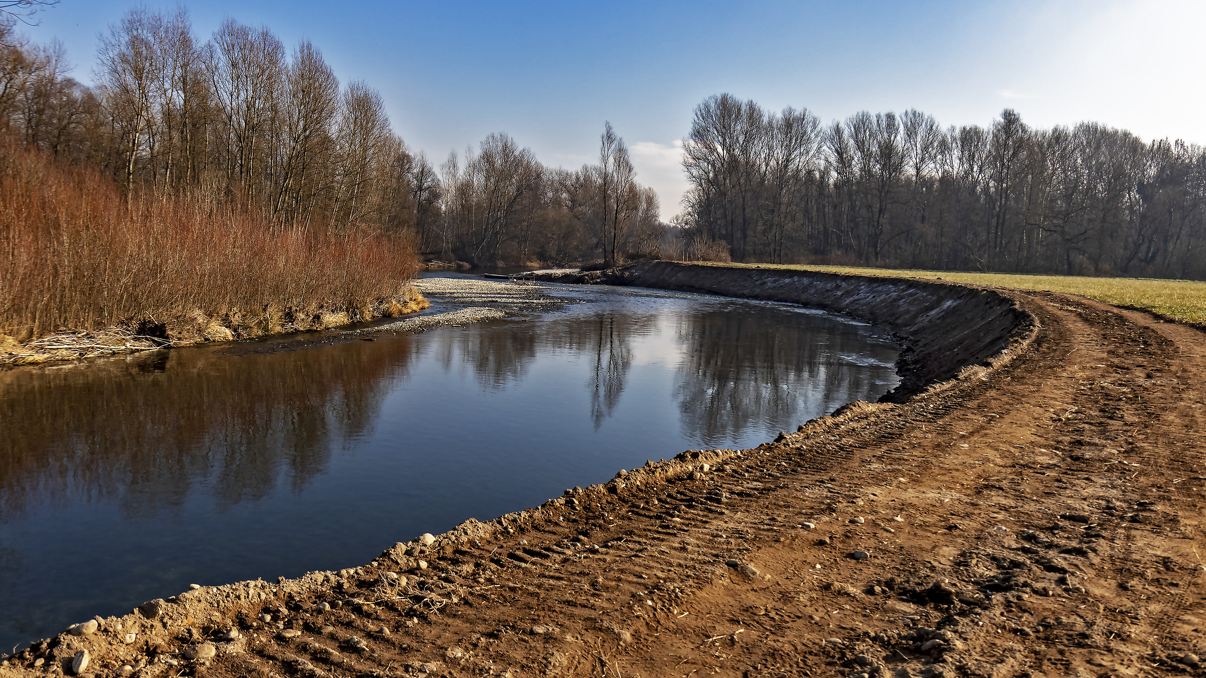 The road in the woods