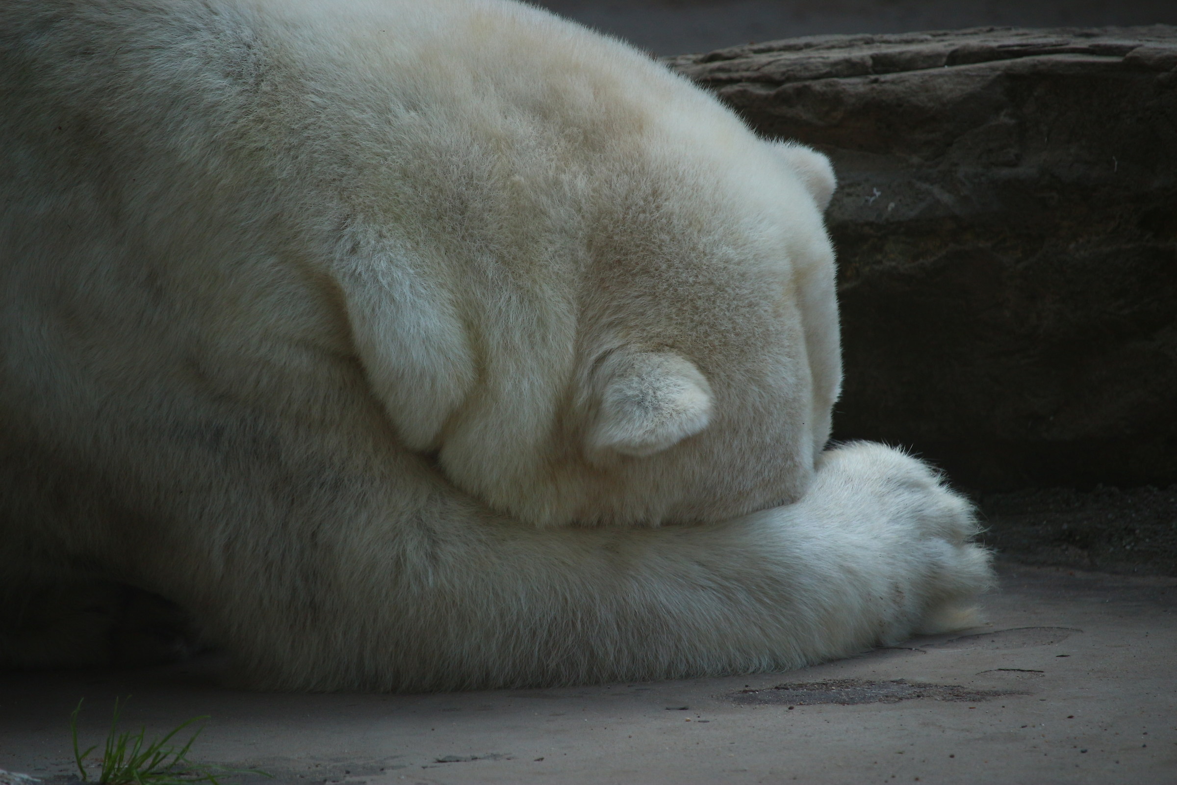 Global warming depression