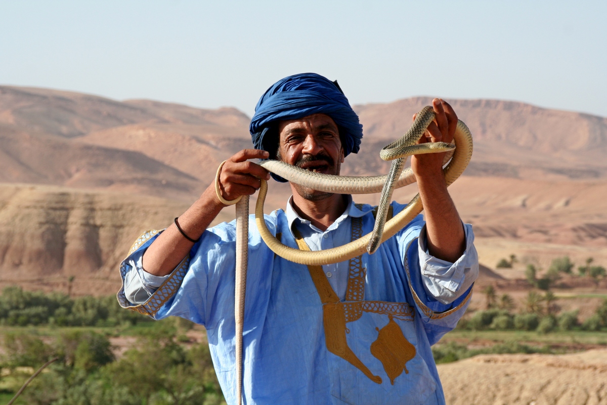 Man and snakes