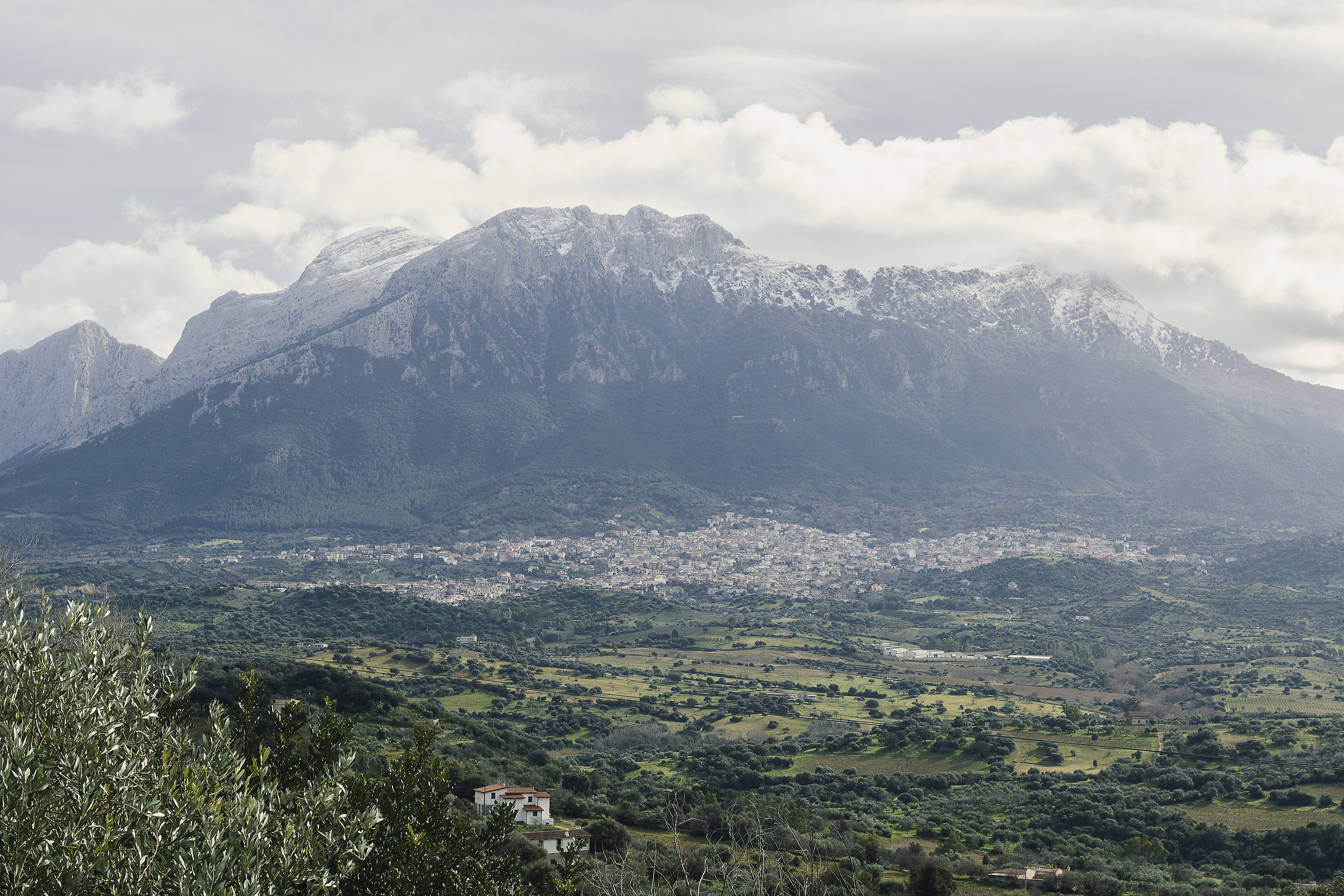 Oliena e monte Corrasi