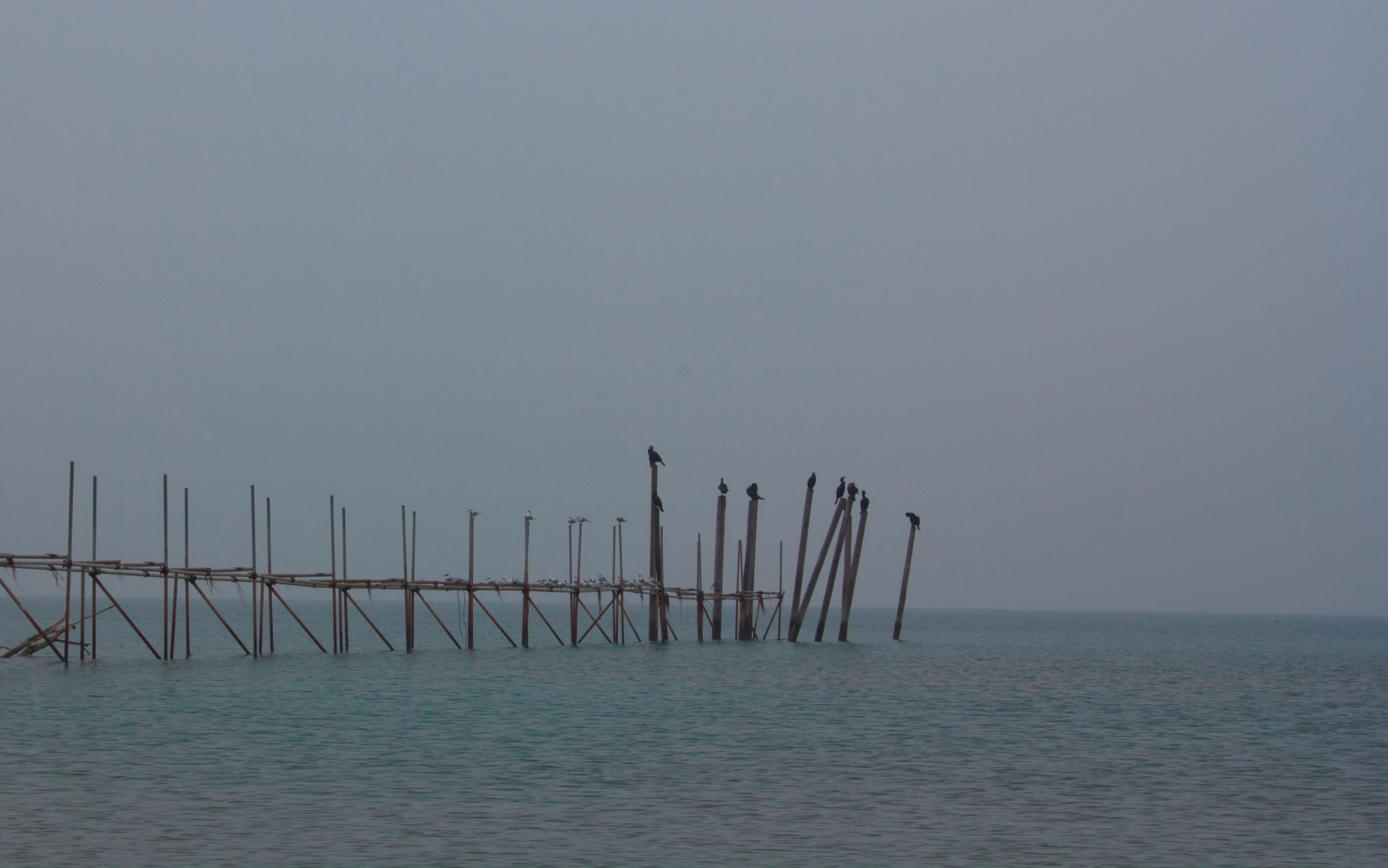 Jesolo pontile