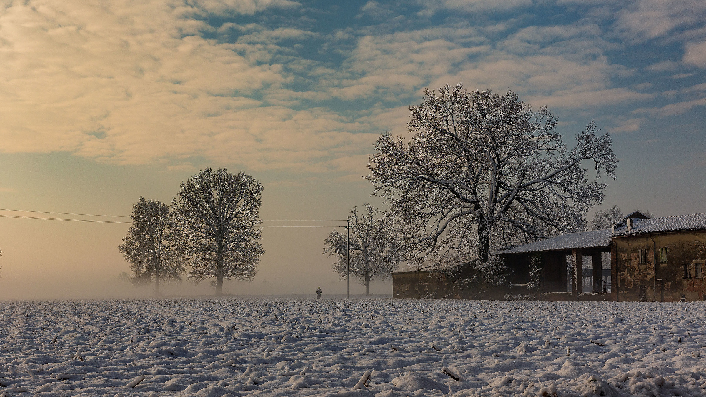 Finalmente un po' di neve!