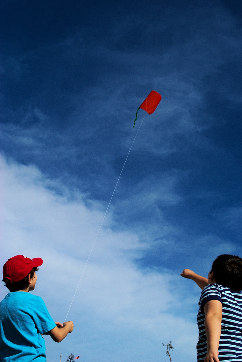 L'allegria di un momento