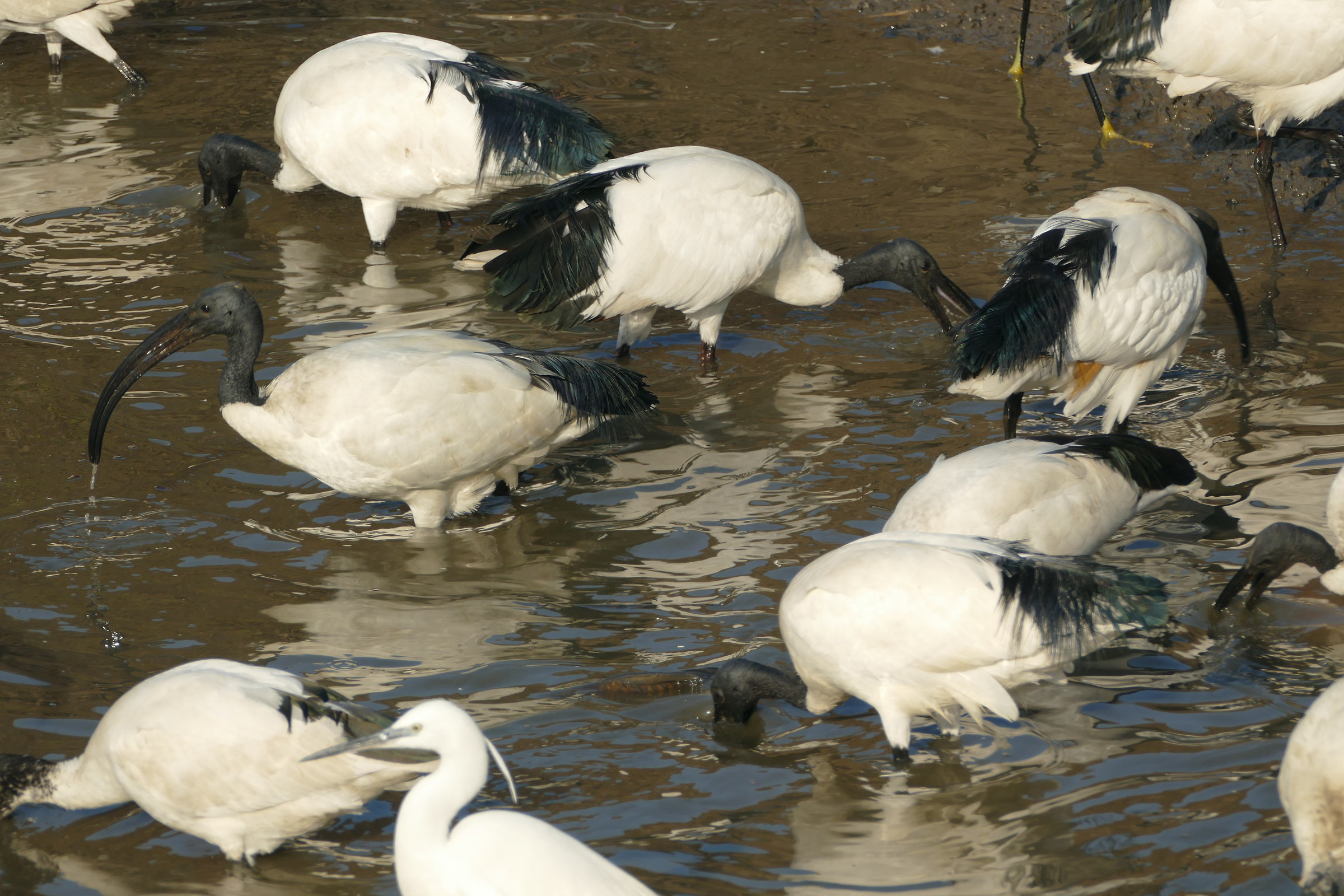 qualcuno ha trovato il mio bagno schiuma!!!