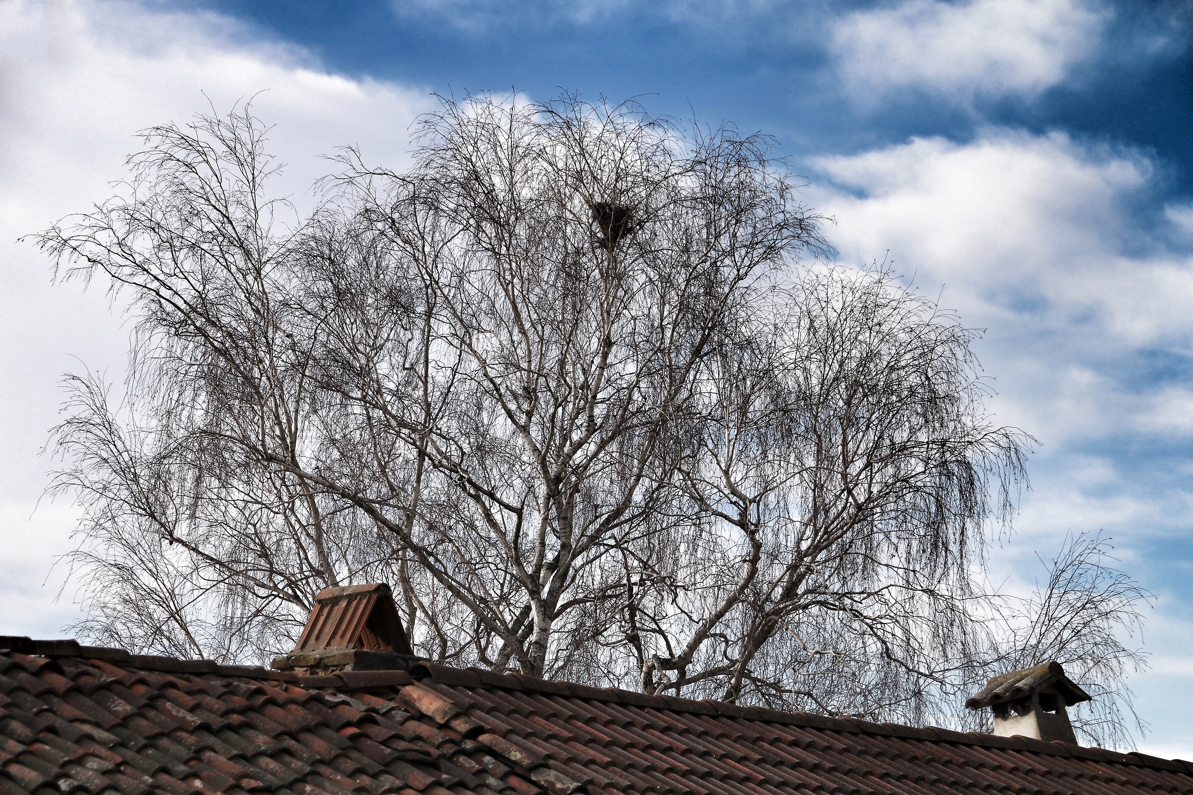 Tra tetti, alberi e nuvole.