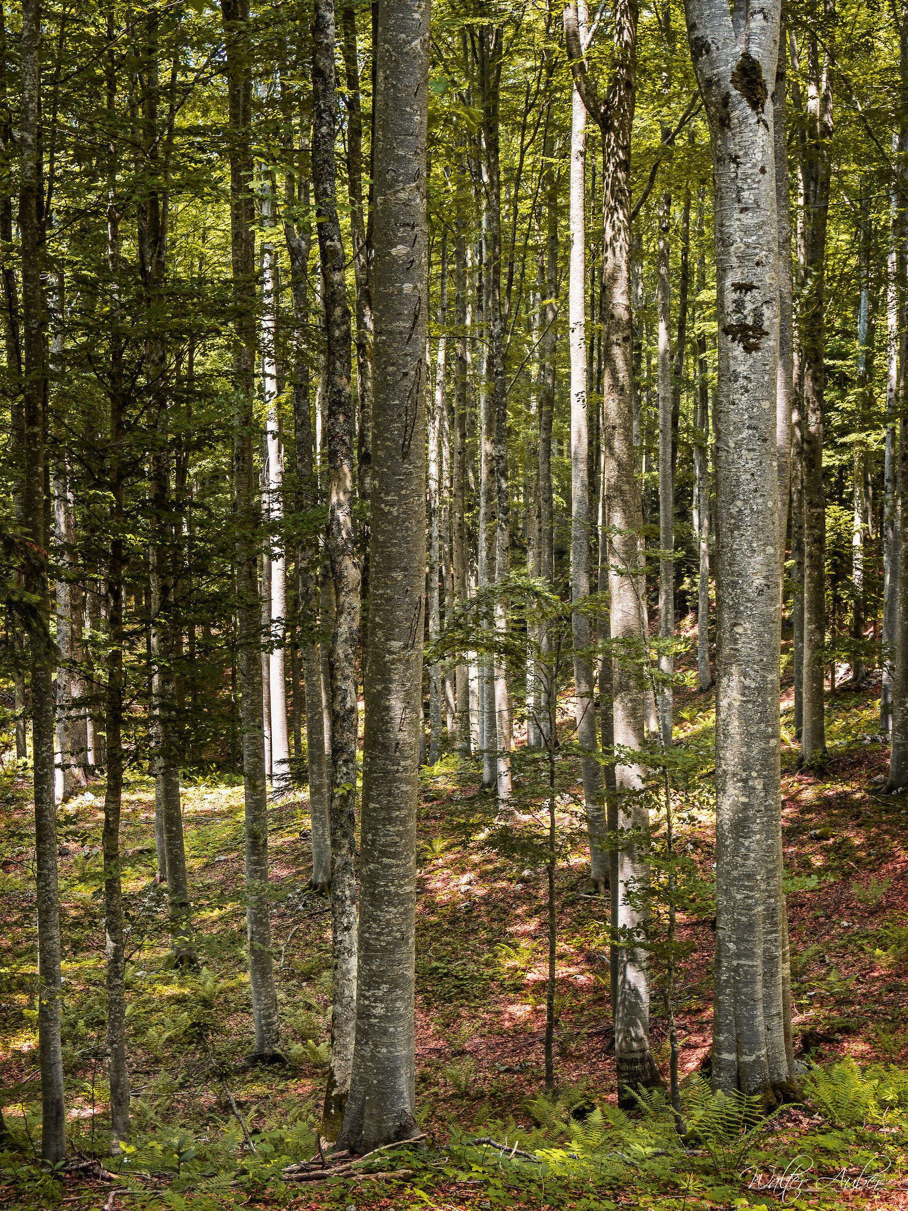 Ma cosa c'è lì in fondo?