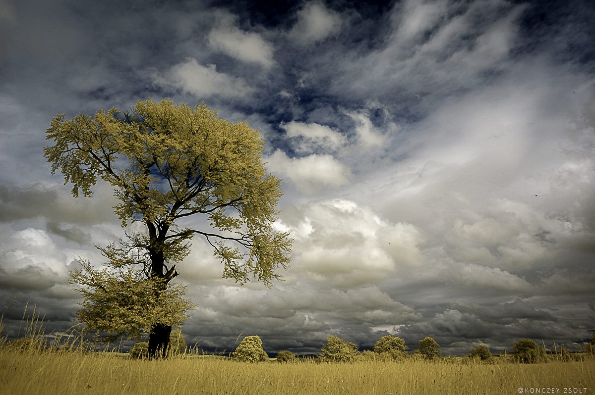 dopo... foto a infrarossi