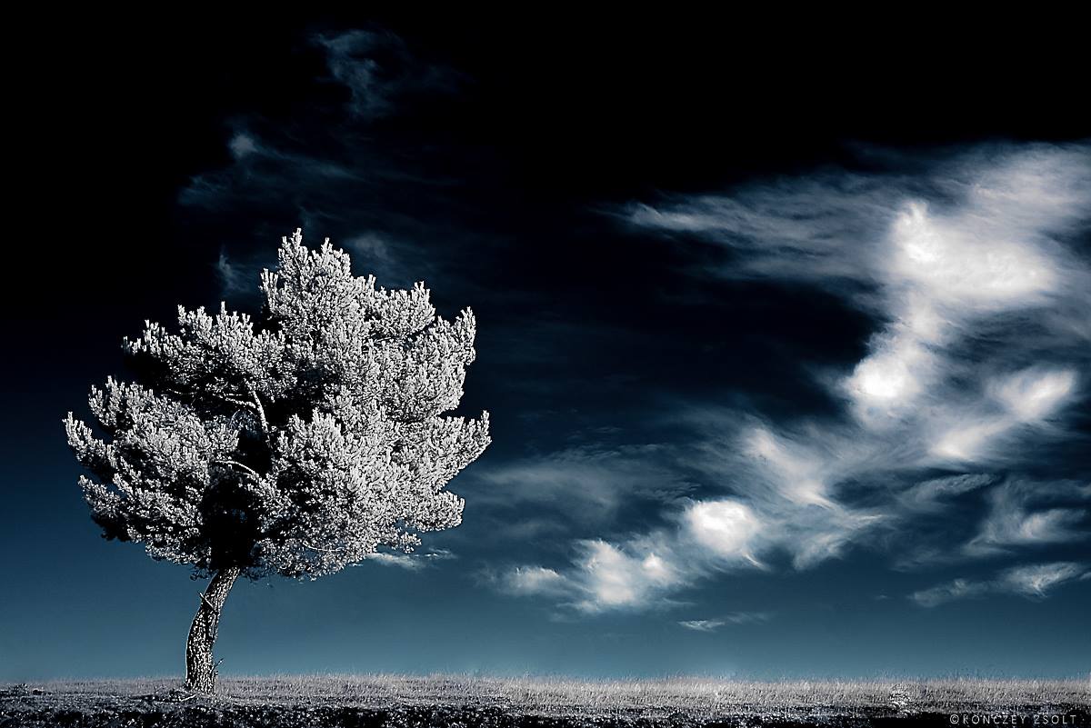 ultimo sospiro... foto a infrarossi