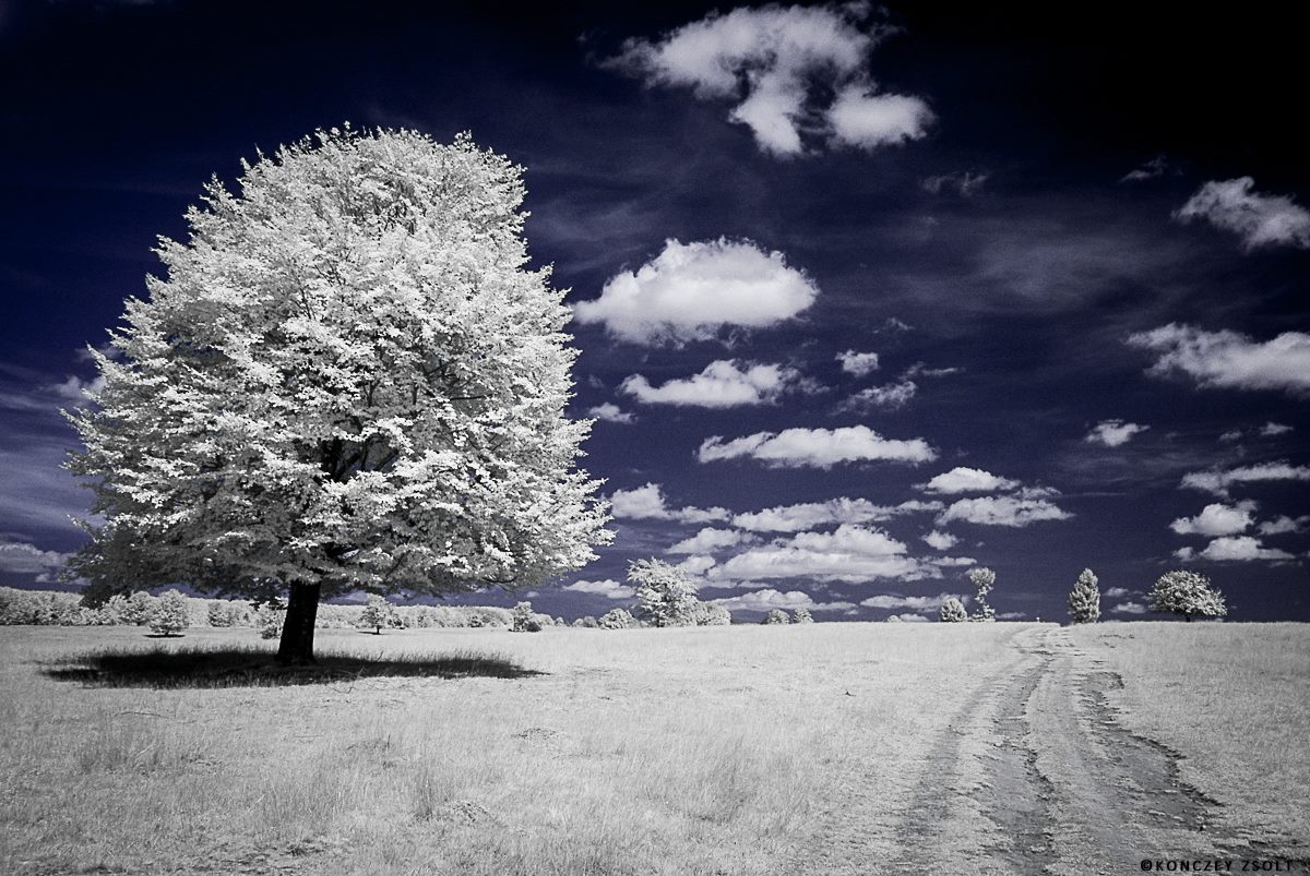 Strada infinita... foto a infrarossi